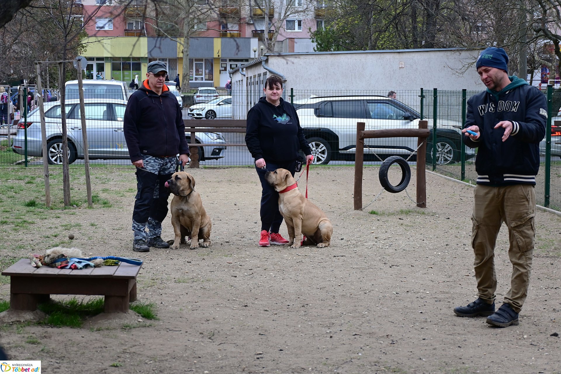 Kutyázz Nyíregyháza! - tréning a Tas utcai kutyafuttatóban