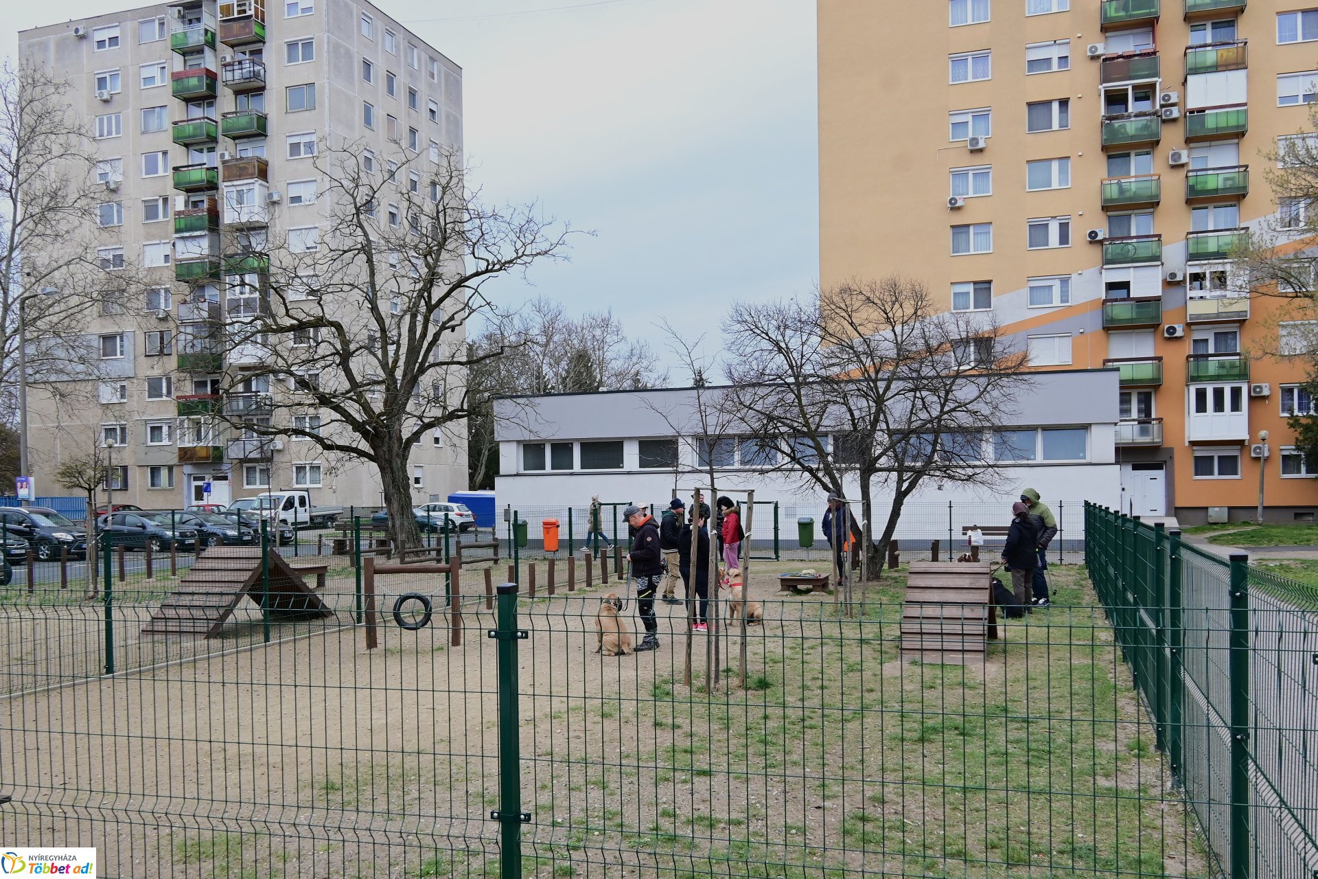 Kutyázz Nyíregyháza! - tréning a Tas utcai kutyafuttatóban