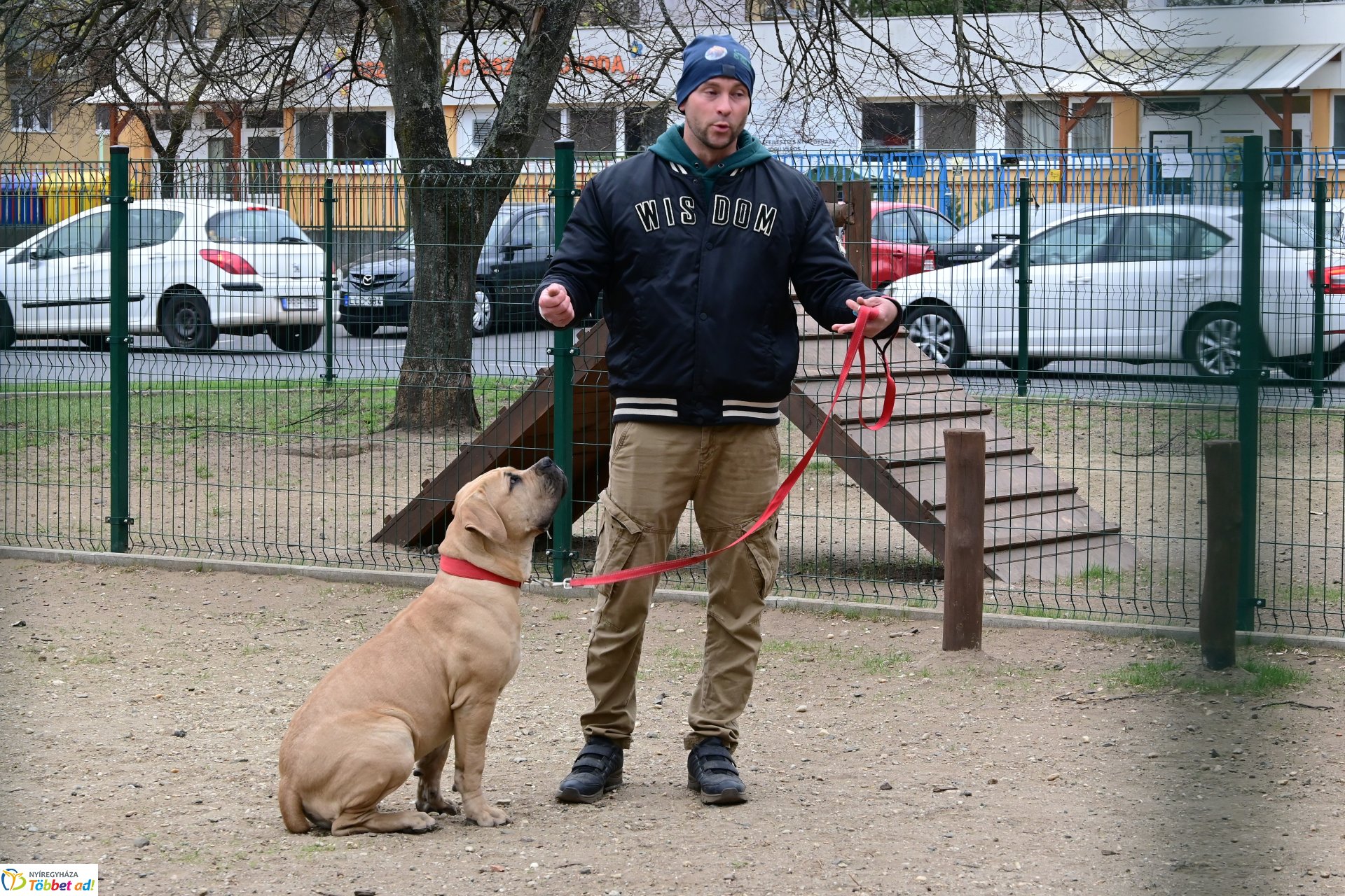 Kutyázz Nyíregyháza! - tréning a Tas utcai kutyafuttatóban
