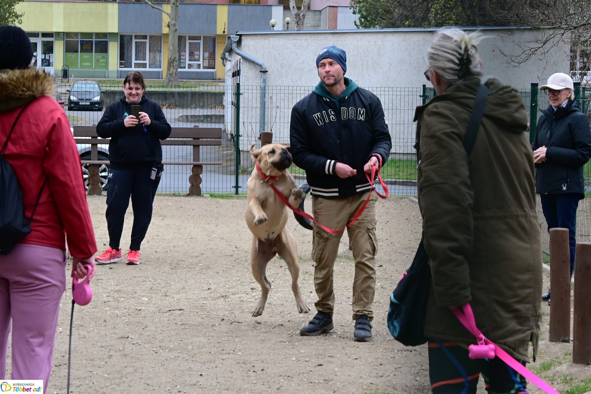 Kutyázz Nyíregyháza! - tréning a Tas utcai kutyafuttatóban