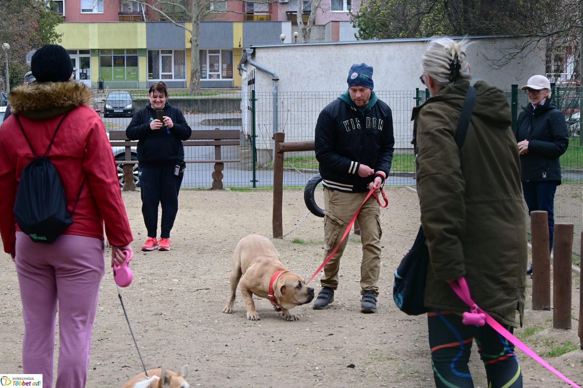 Kutyázz Nyíregyháza! - tréning a Tas utcai kutyafuttatóban