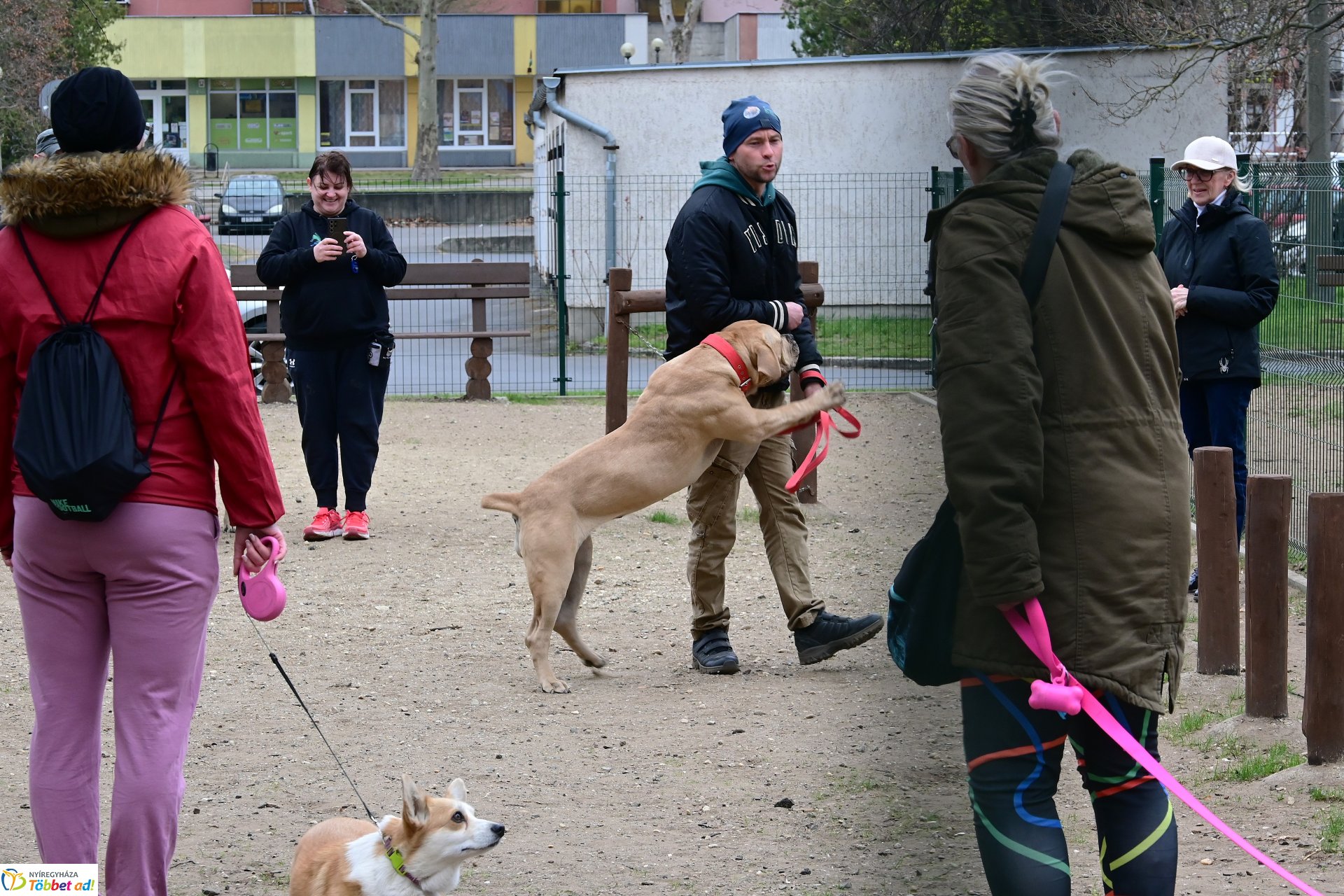 Kutyázz Nyíregyháza! - tréning a Tas utcai kutyafuttatóban