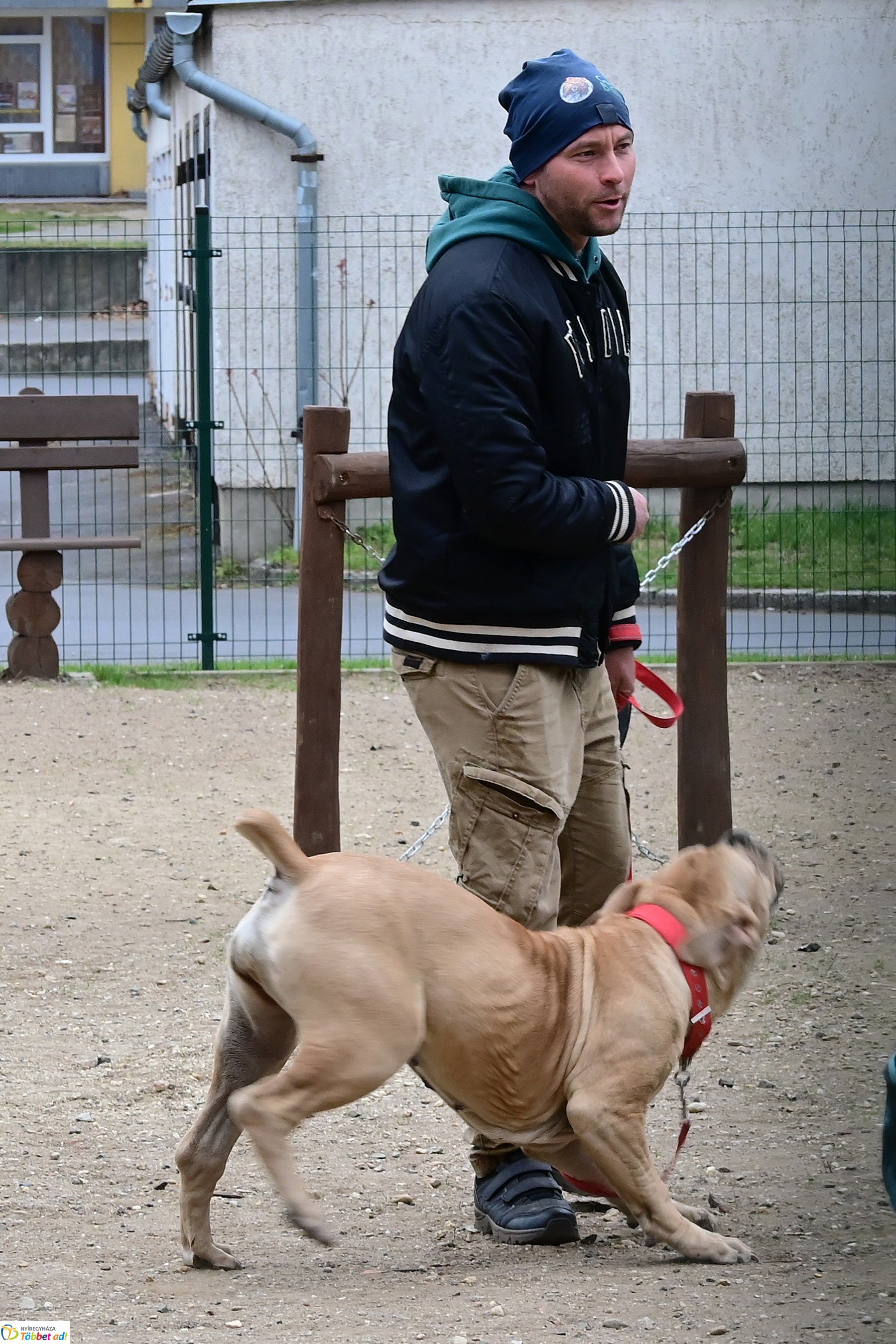 Kutyázz Nyíregyháza! - tréning a Tas utcai kutyafuttatóban