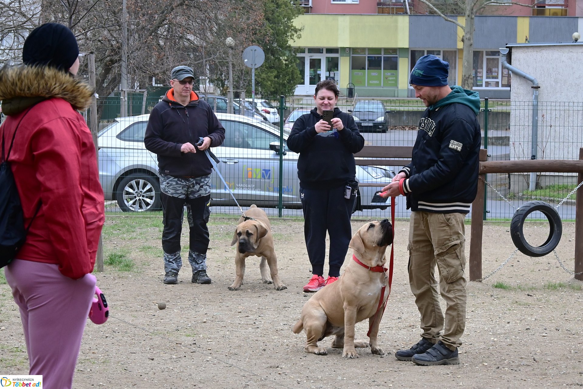 Kutyázz Nyíregyháza! - tréning a Tas utcai kutyafuttatóban