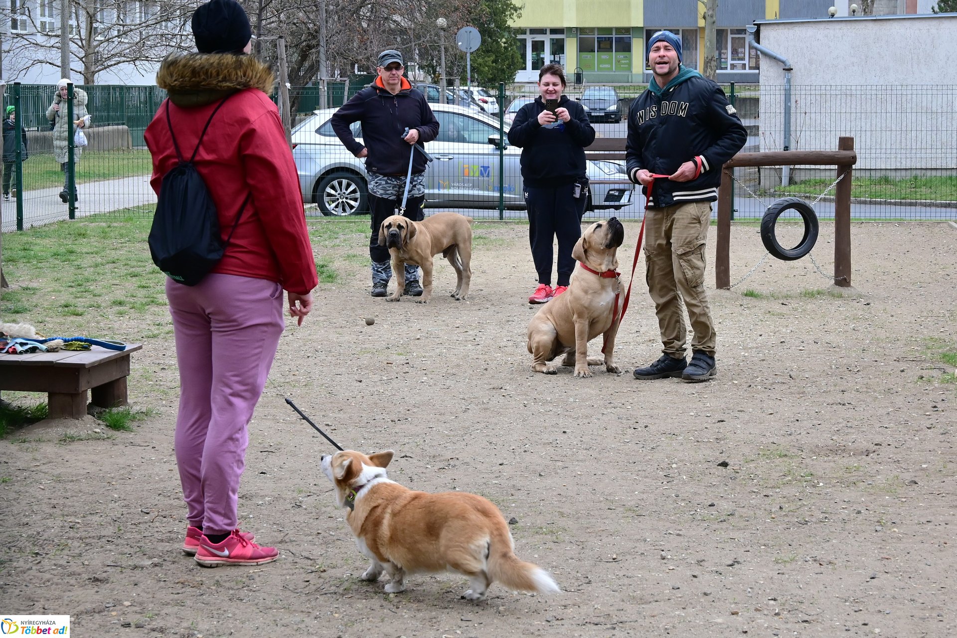 Kutyázz Nyíregyháza! - tréning a Tas utcai kutyafuttatóban