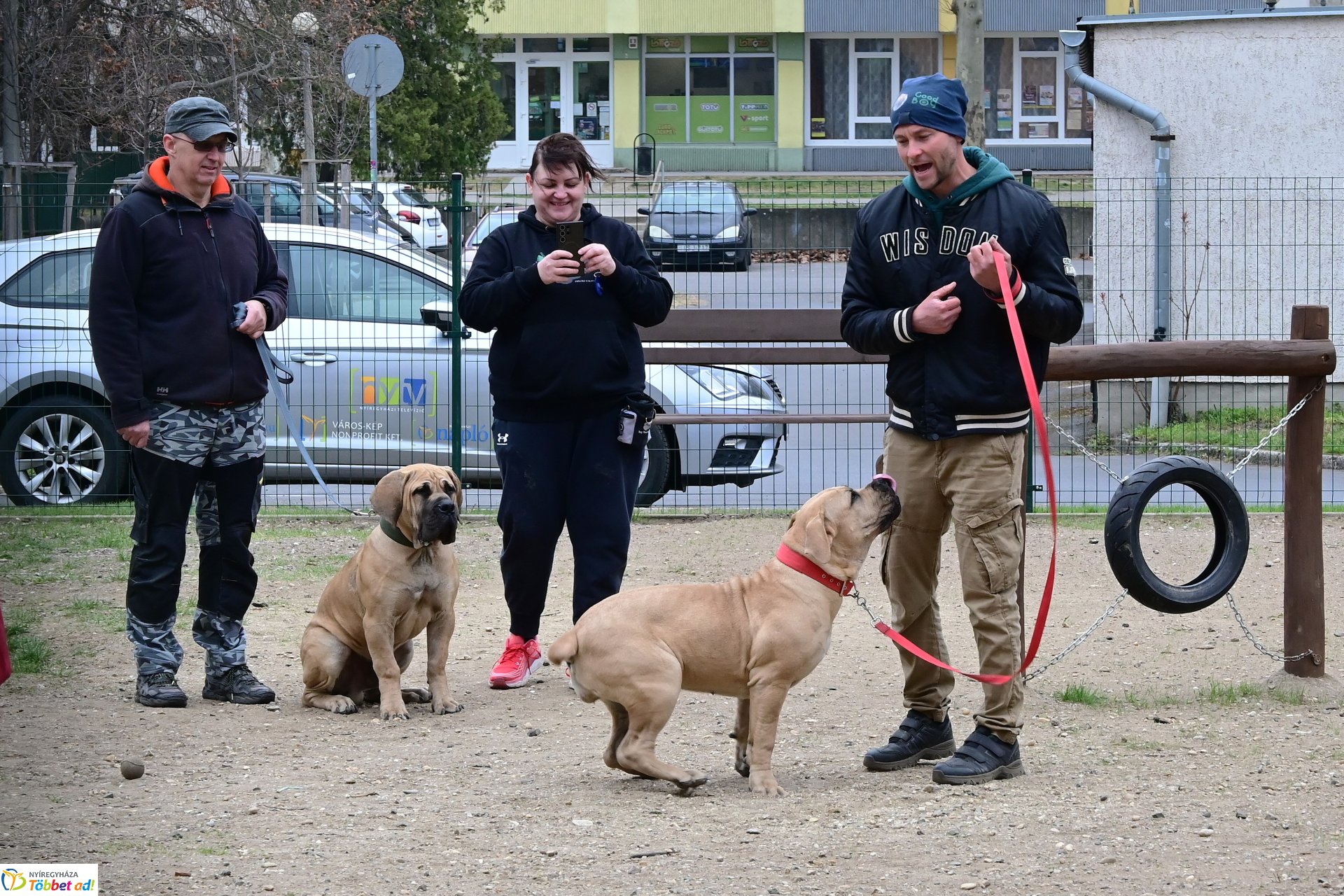 Kutyázz Nyíregyháza! - tréning a Tas utcai kutyafuttatóban