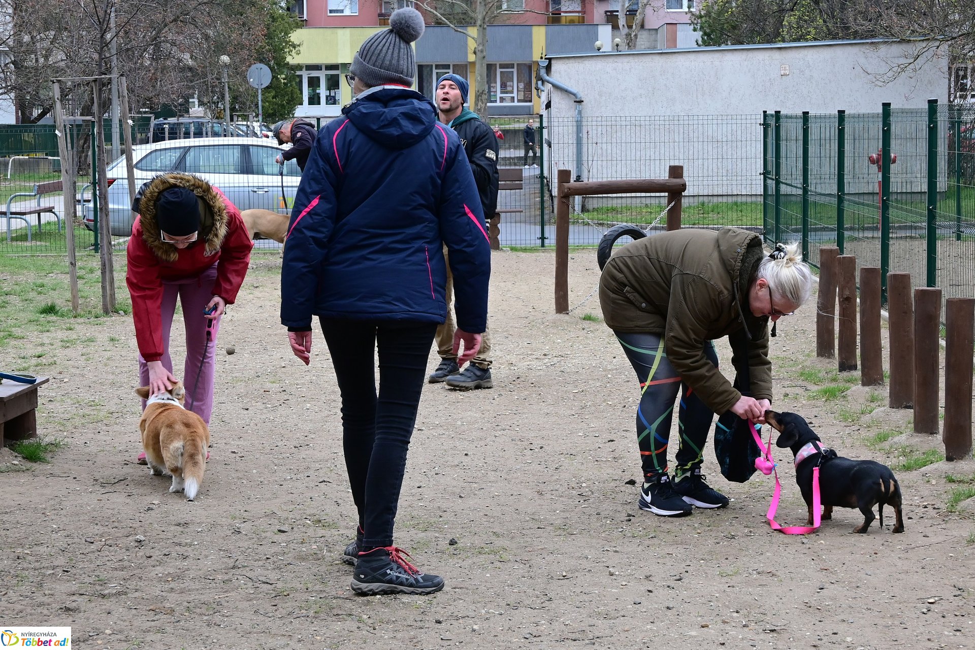 Kutyázz Nyíregyháza! - tréning a Tas utcai kutyafuttatóban