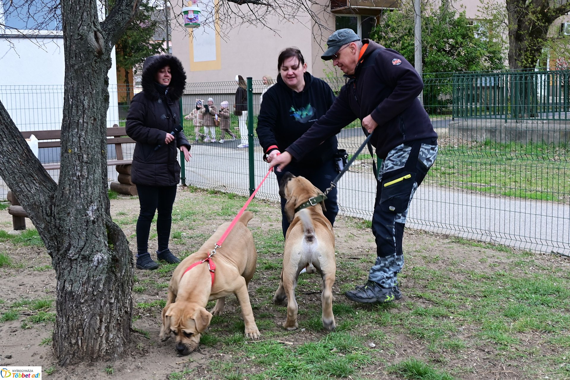 Kutyázz Nyíregyháza! - tréning a Tas utcai kutyafuttatóban