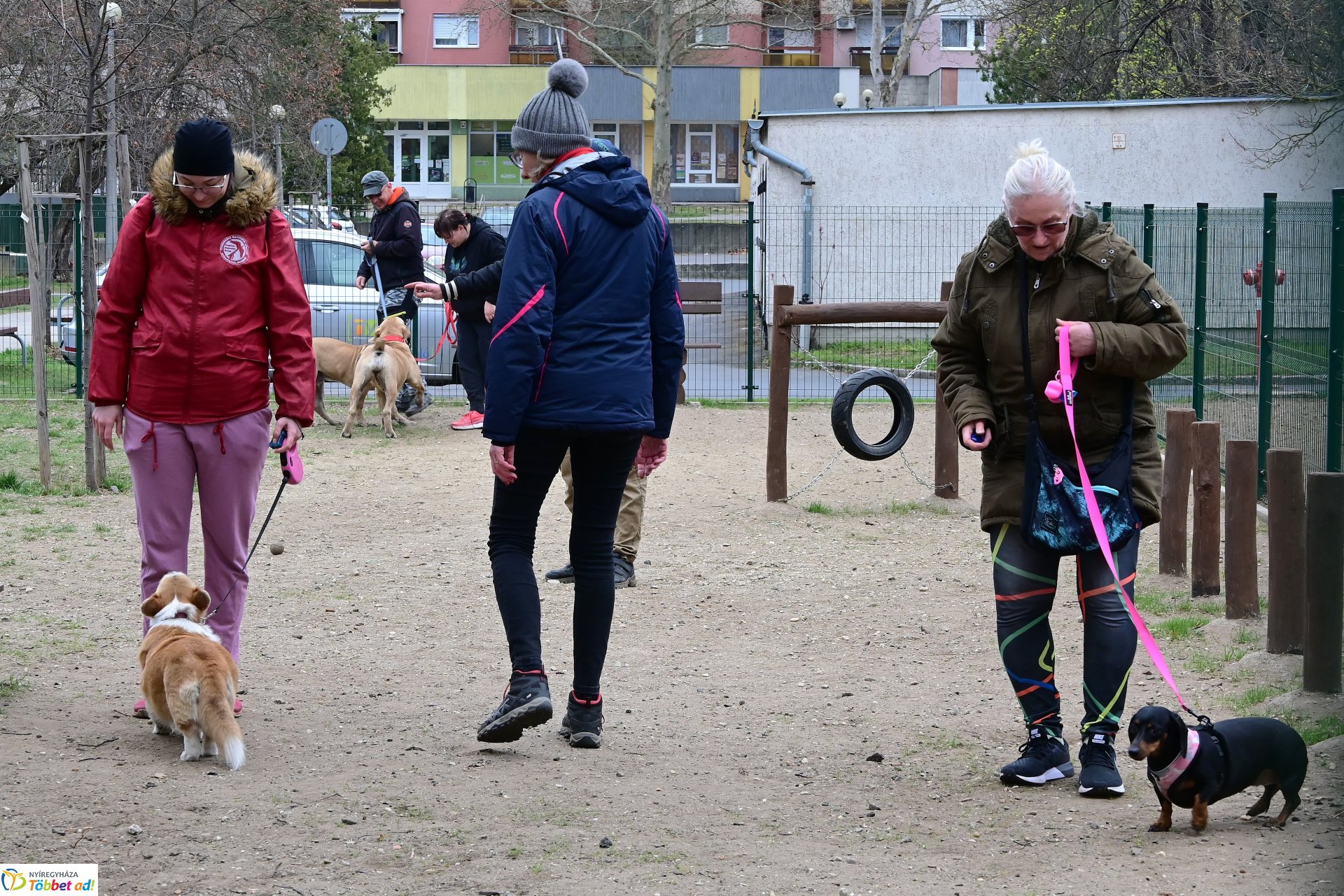 Kutyázz Nyíregyháza! - tréning a Tas utcai kutyafuttatóban
