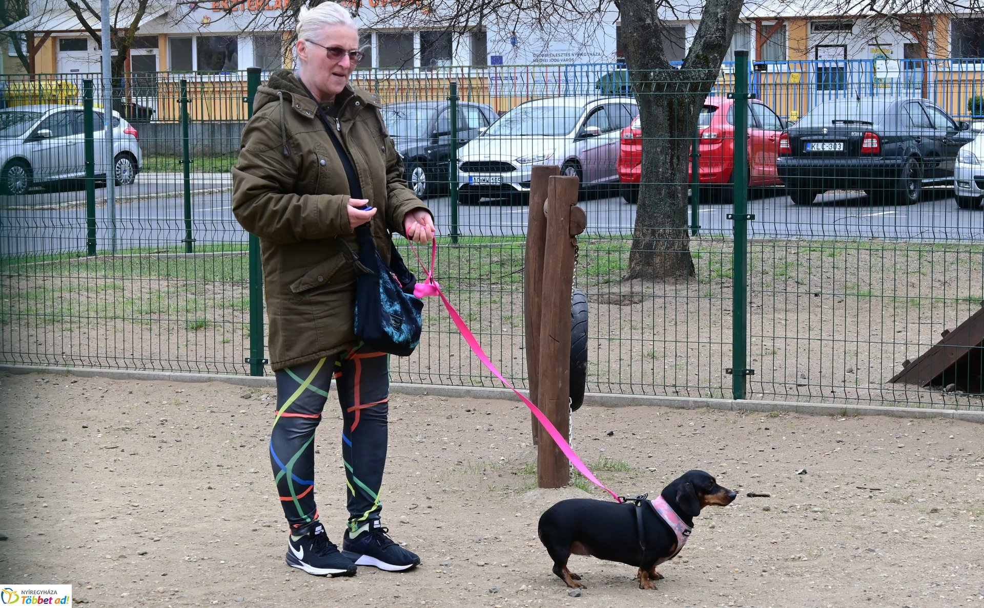 Kutyázz Nyíregyháza! - tréning a Tas utcai kutyafuttatóban