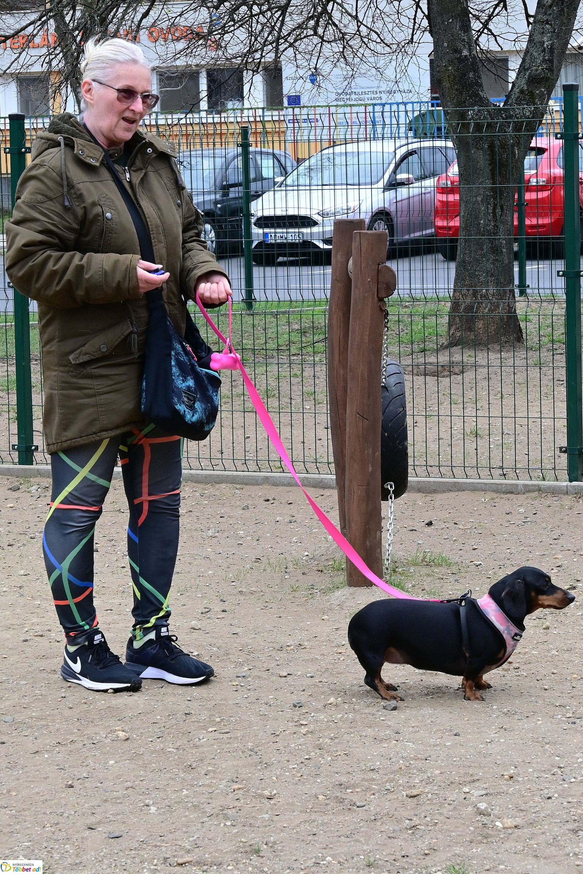 Kutyázz Nyíregyháza! - tréning a Tas utcai kutyafuttatóban