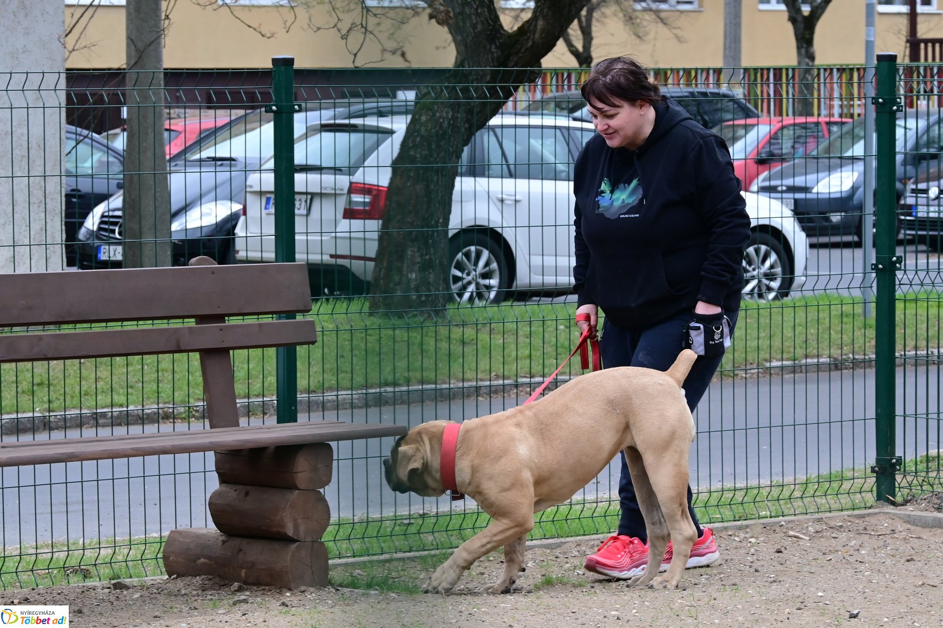 Kutyázz Nyíregyháza! - tréning a Tas utcai kutyafuttatóban