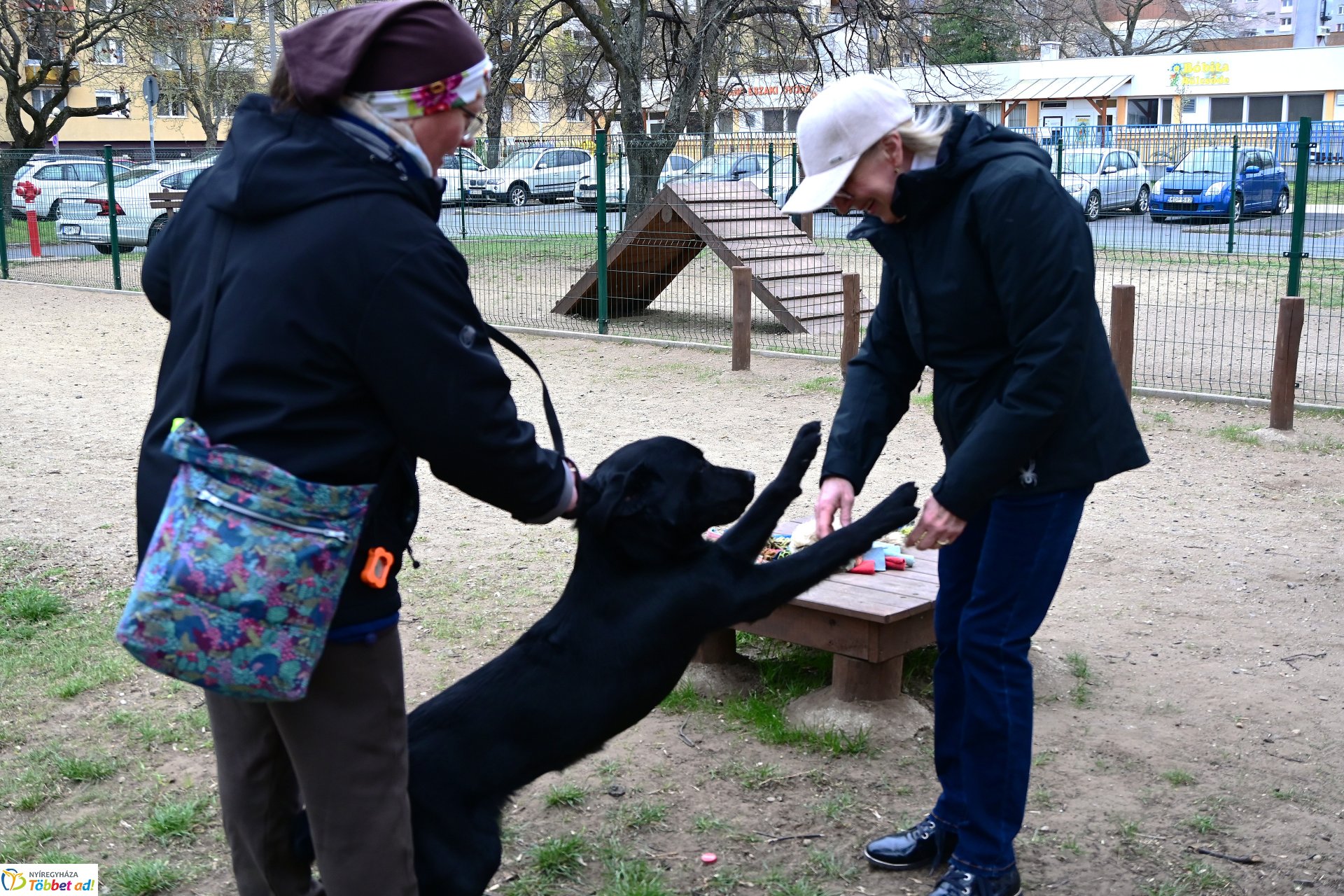 Kutyázz Nyíregyháza! - tréning a Tas utcai kutyafuttatóban