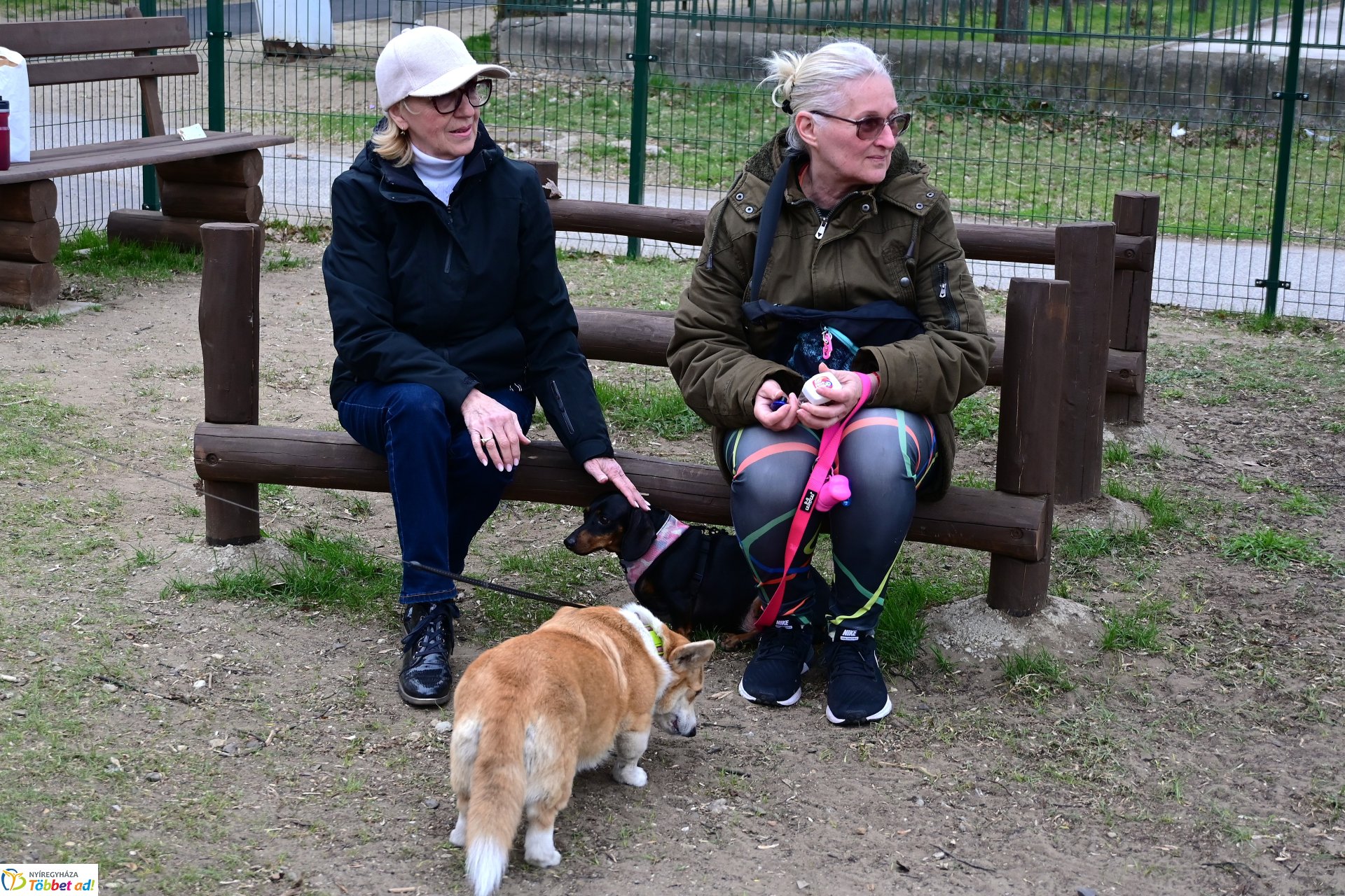 Kutyázz Nyíregyháza! - tréning a Tas utcai kutyafuttatóban