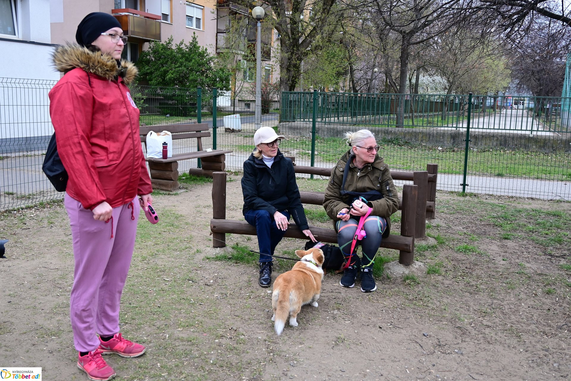 Kutyázz Nyíregyháza! - tréning a Tas utcai kutyafuttatóban