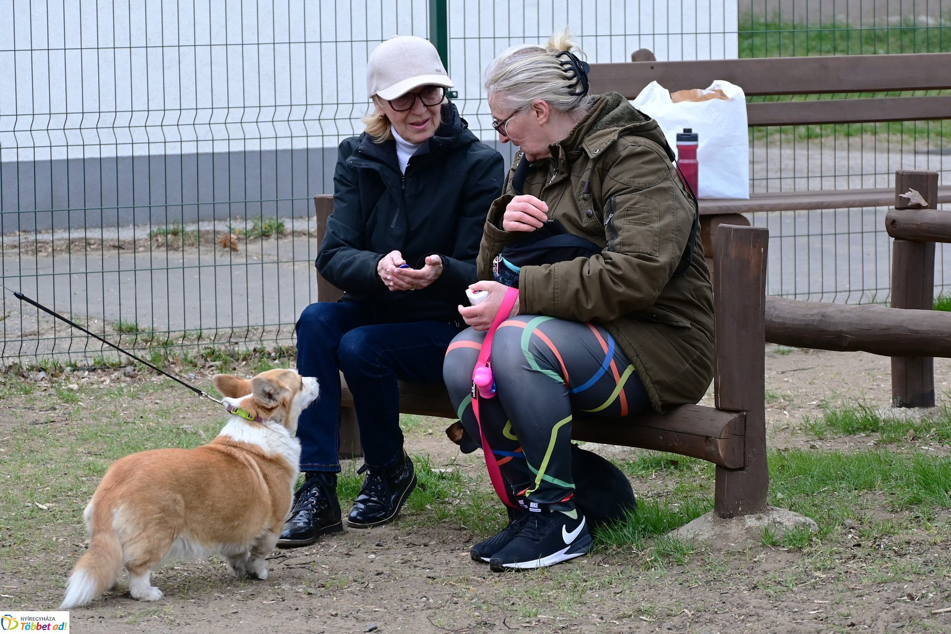 Kutyázz Nyíregyháza! - tréning a Tas utcai kutyafuttatóban