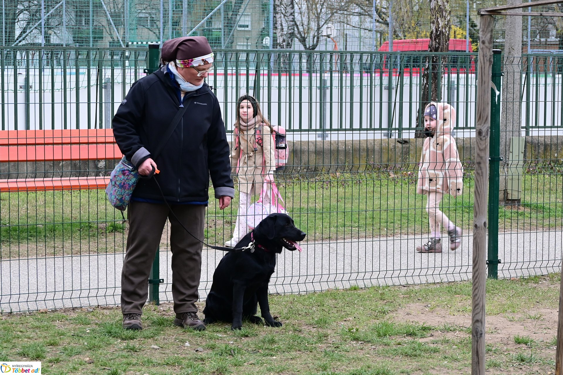 Kutyázz Nyíregyháza! - tréning a Tas utcai kutyafuttatóban