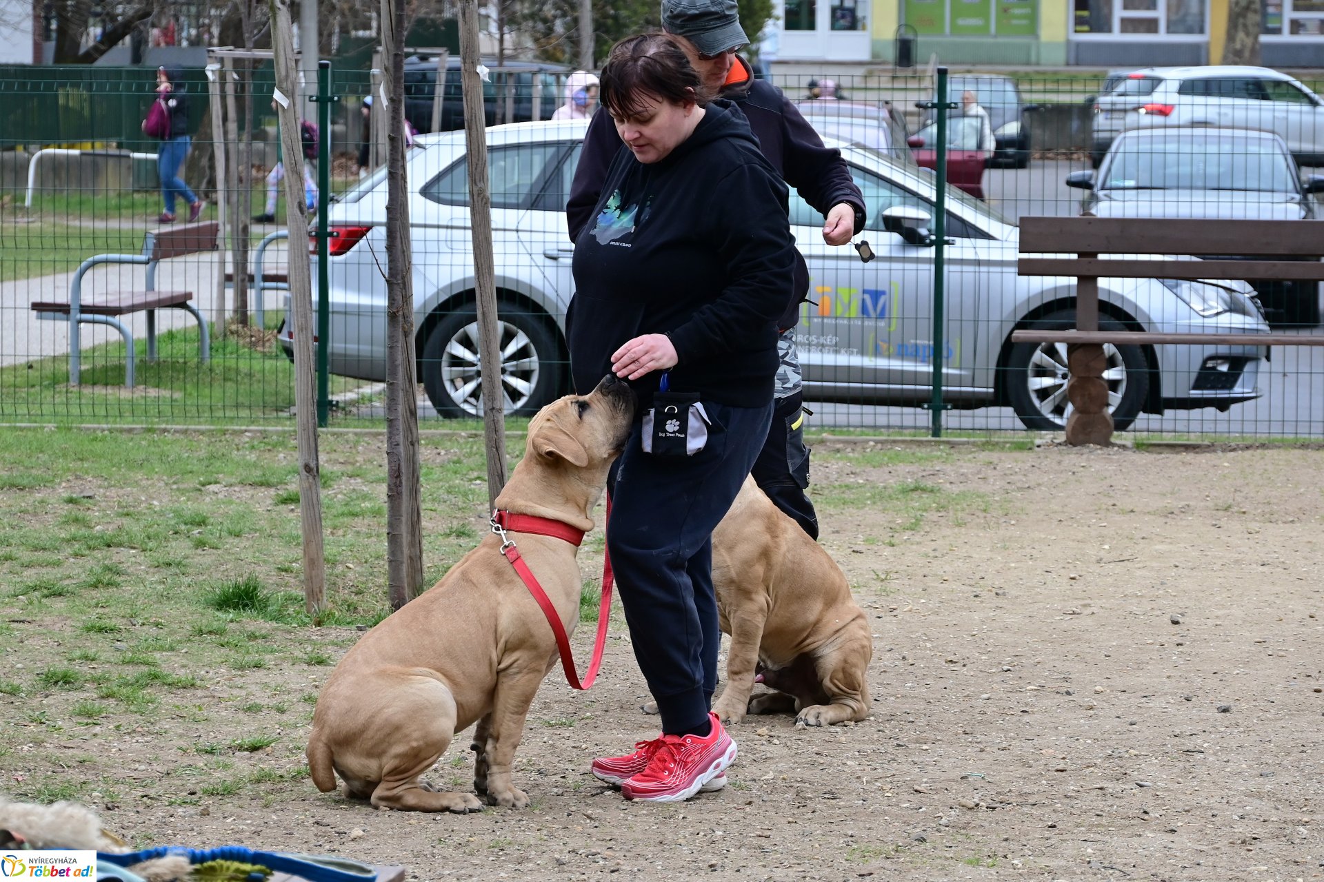 Kutyázz Nyíregyháza! - tréning a Tas utcai kutyafuttatóban
