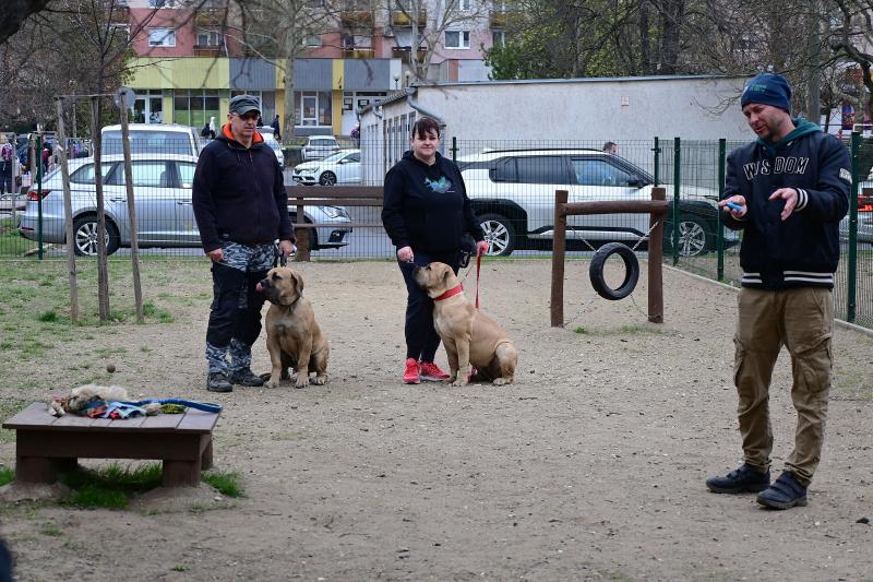 Kutyázz Nyíregyháza! - tréning a Tas utcai kutyafuttatóban