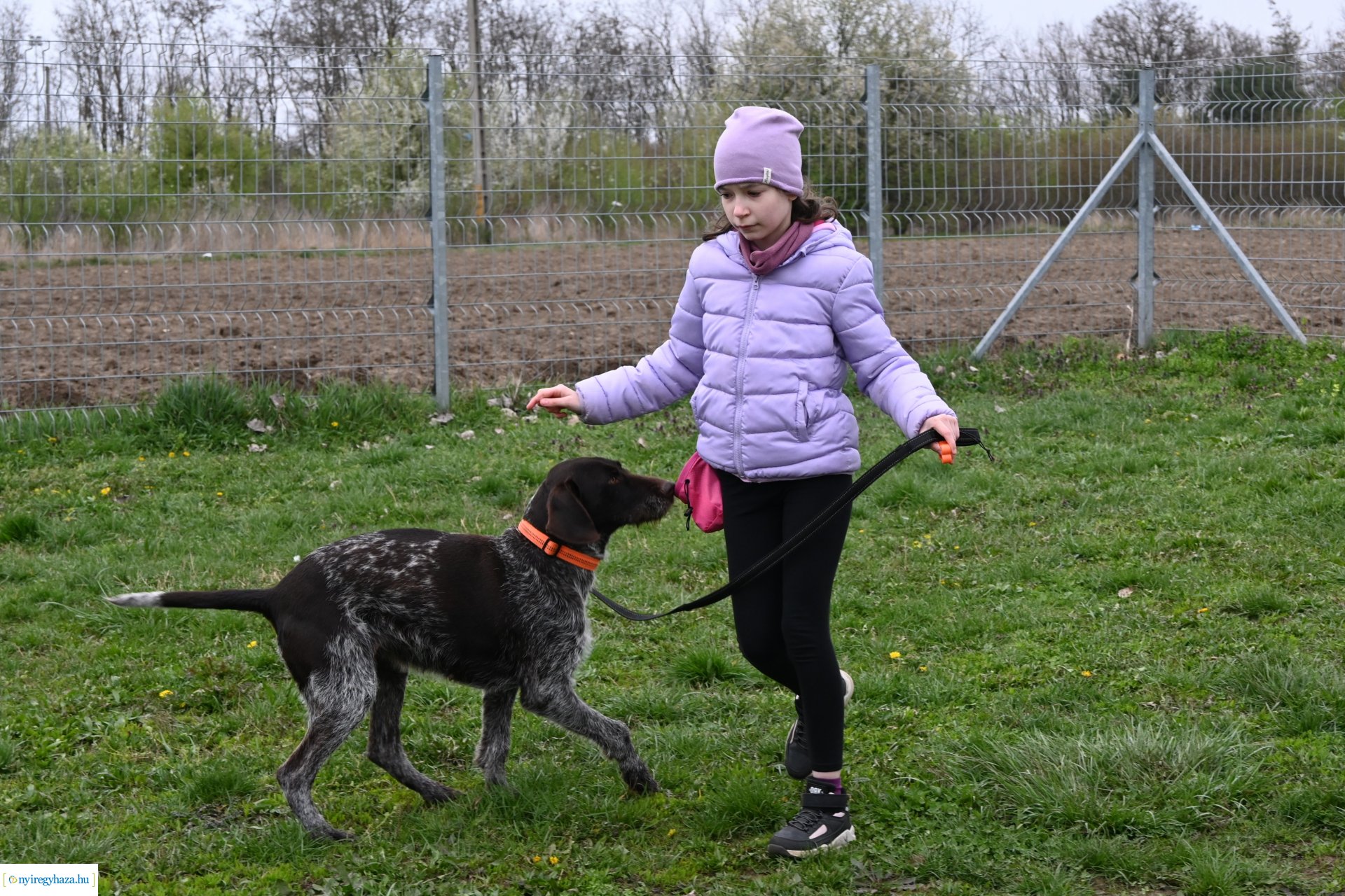 Kutyázz Nyíregyháza!