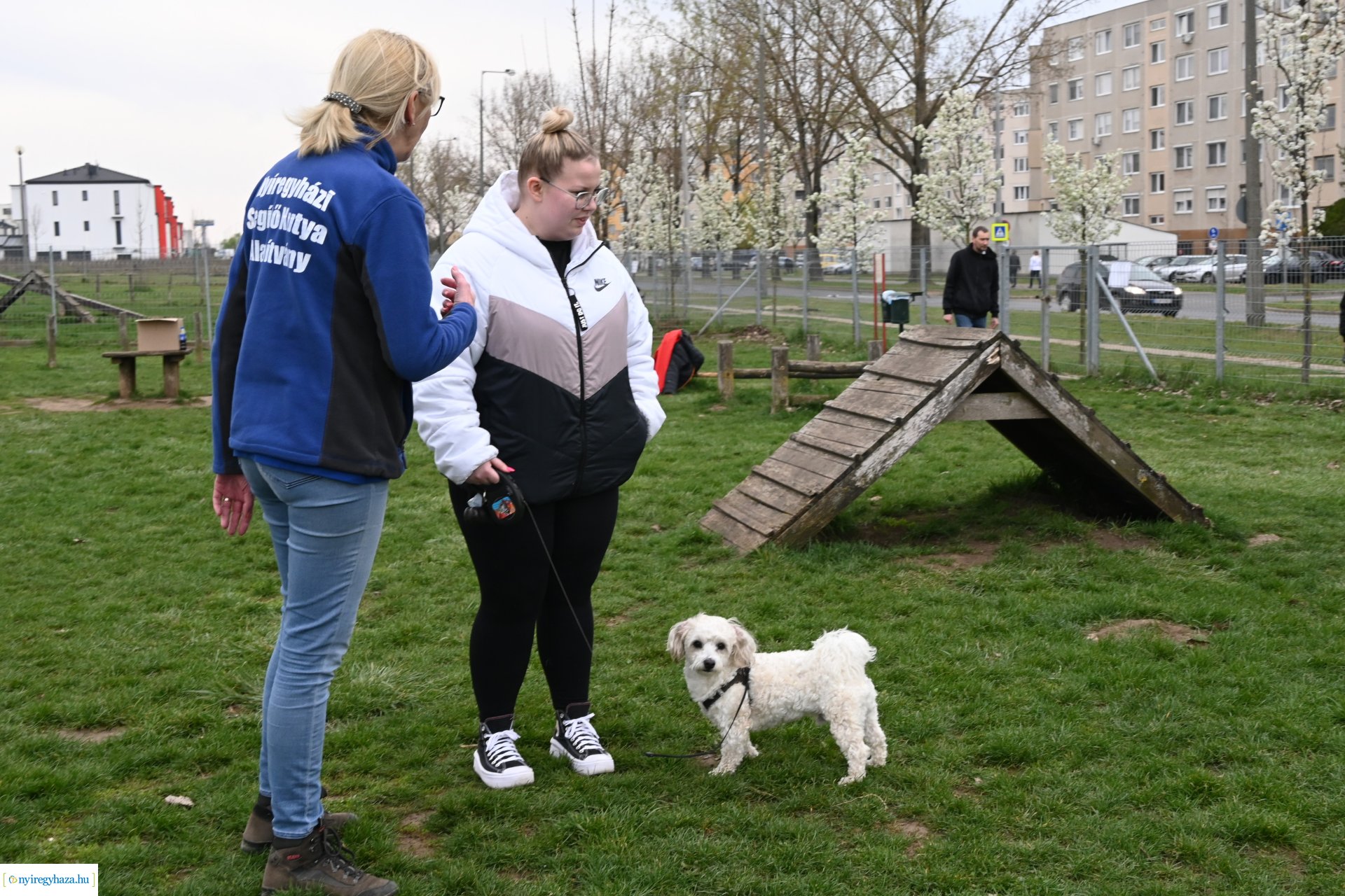 Kutyázz Nyíregyháza!