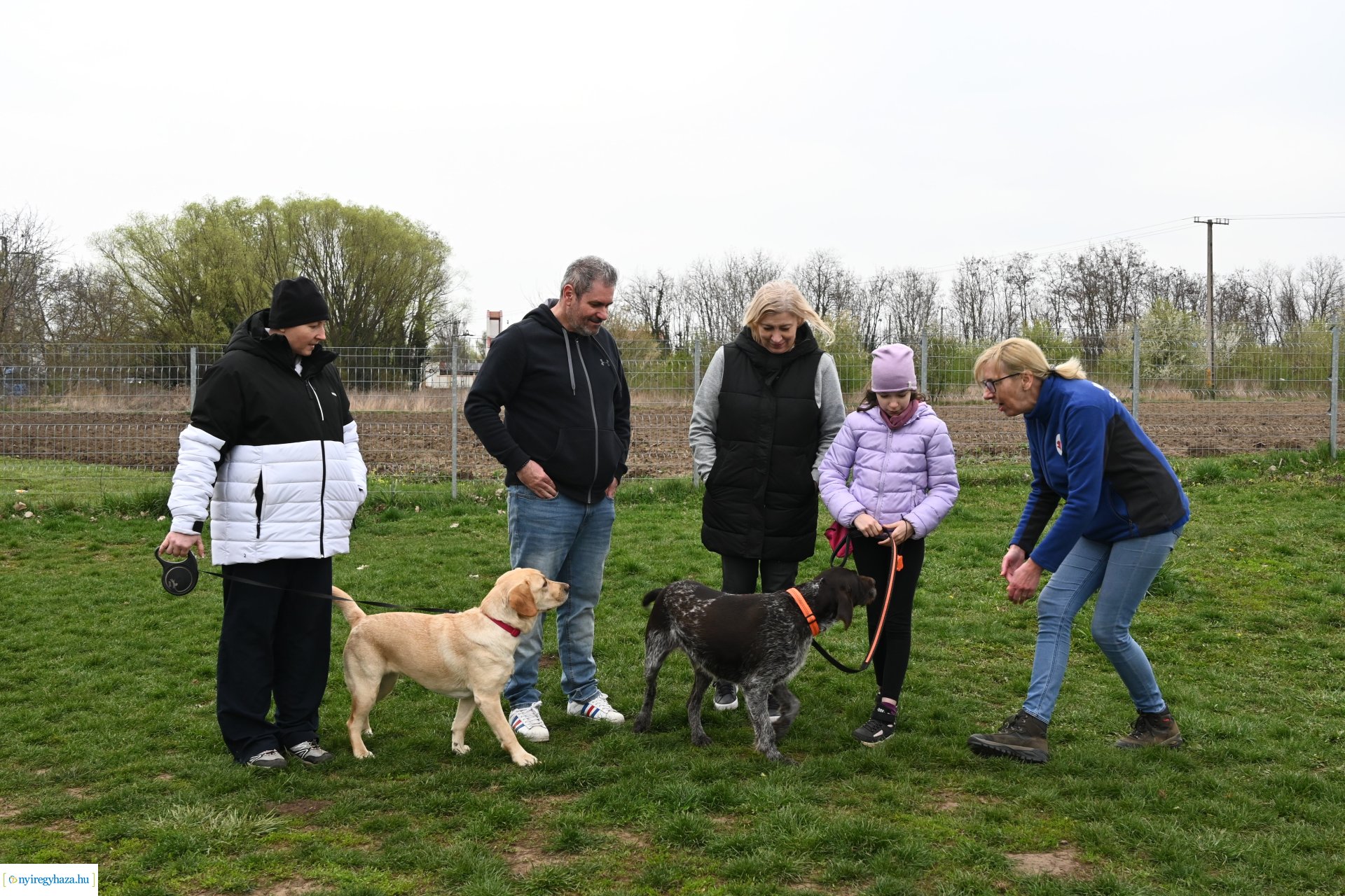 Kutyázz Nyíregyháza!