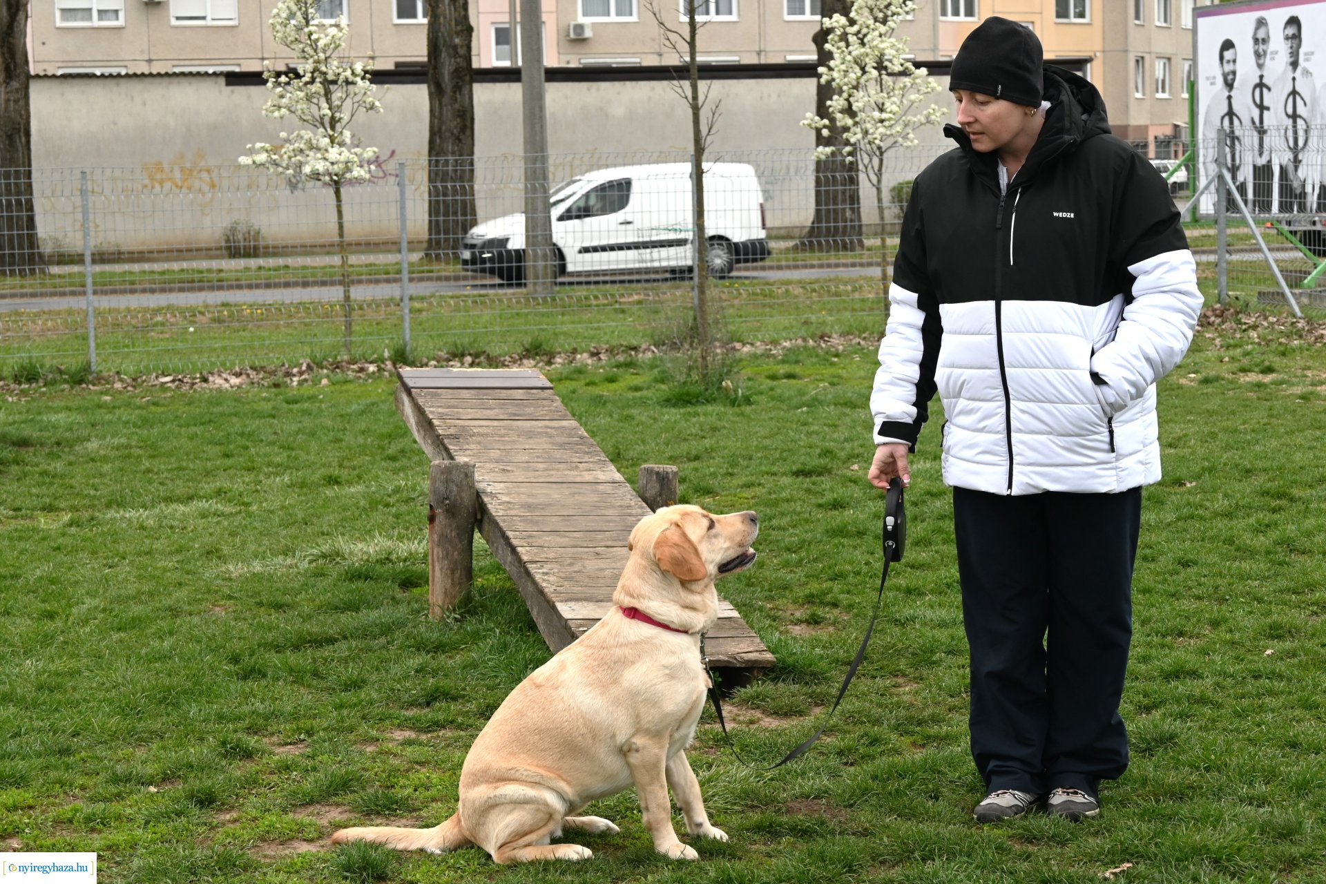 Kutyázz Nyíregyháza!