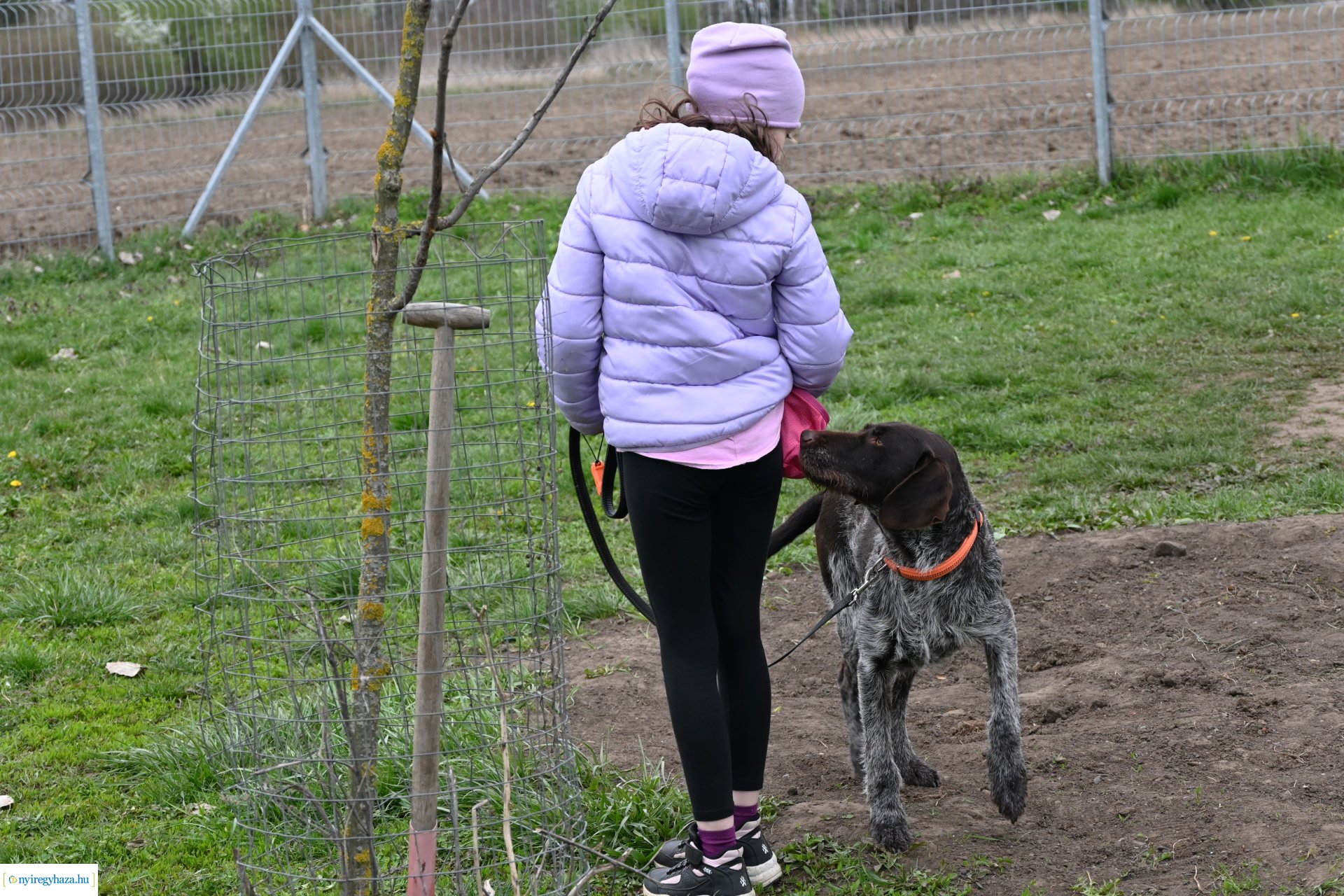 Kutyázz Nyíregyháza!