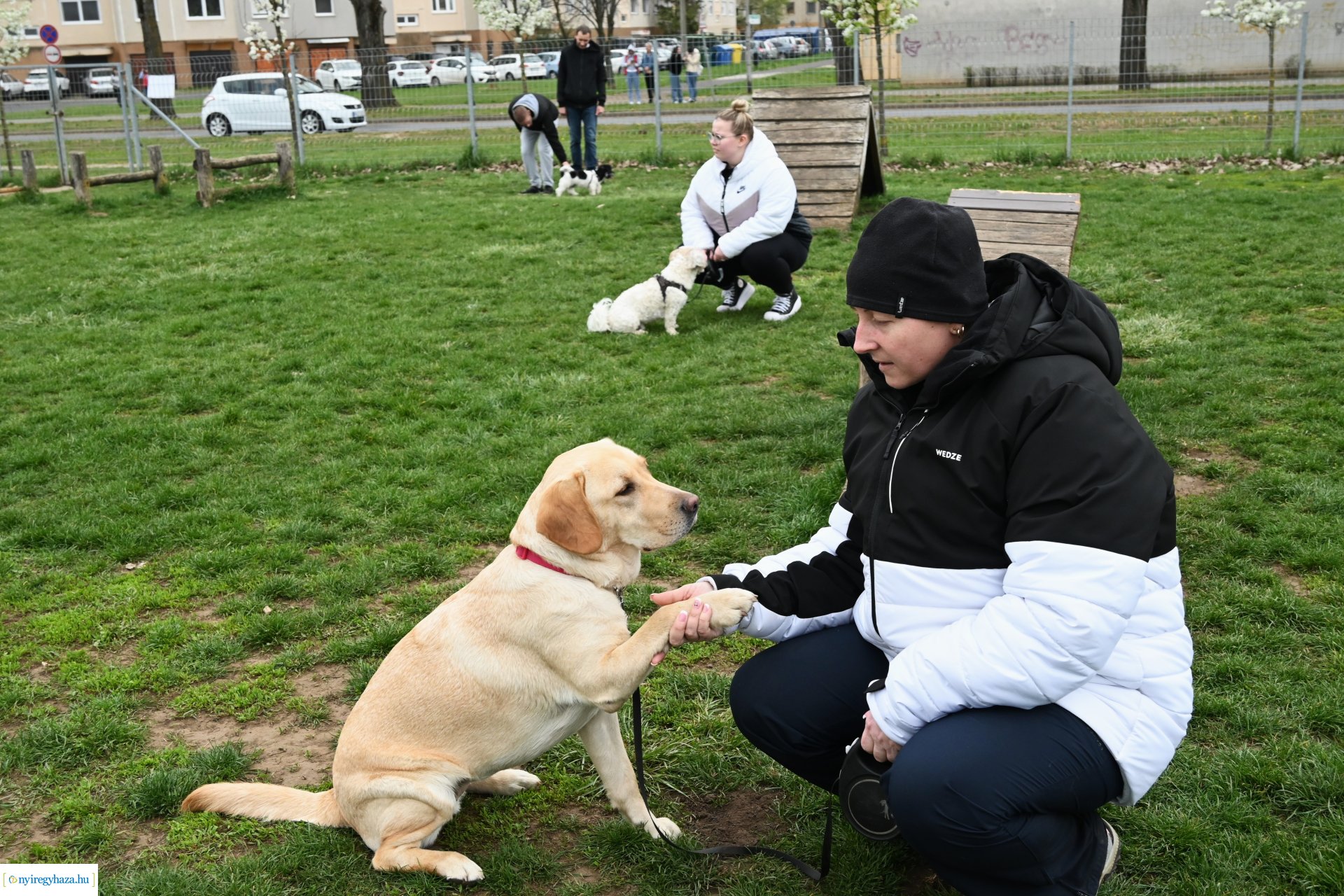 Kutyázz Nyíregyháza!