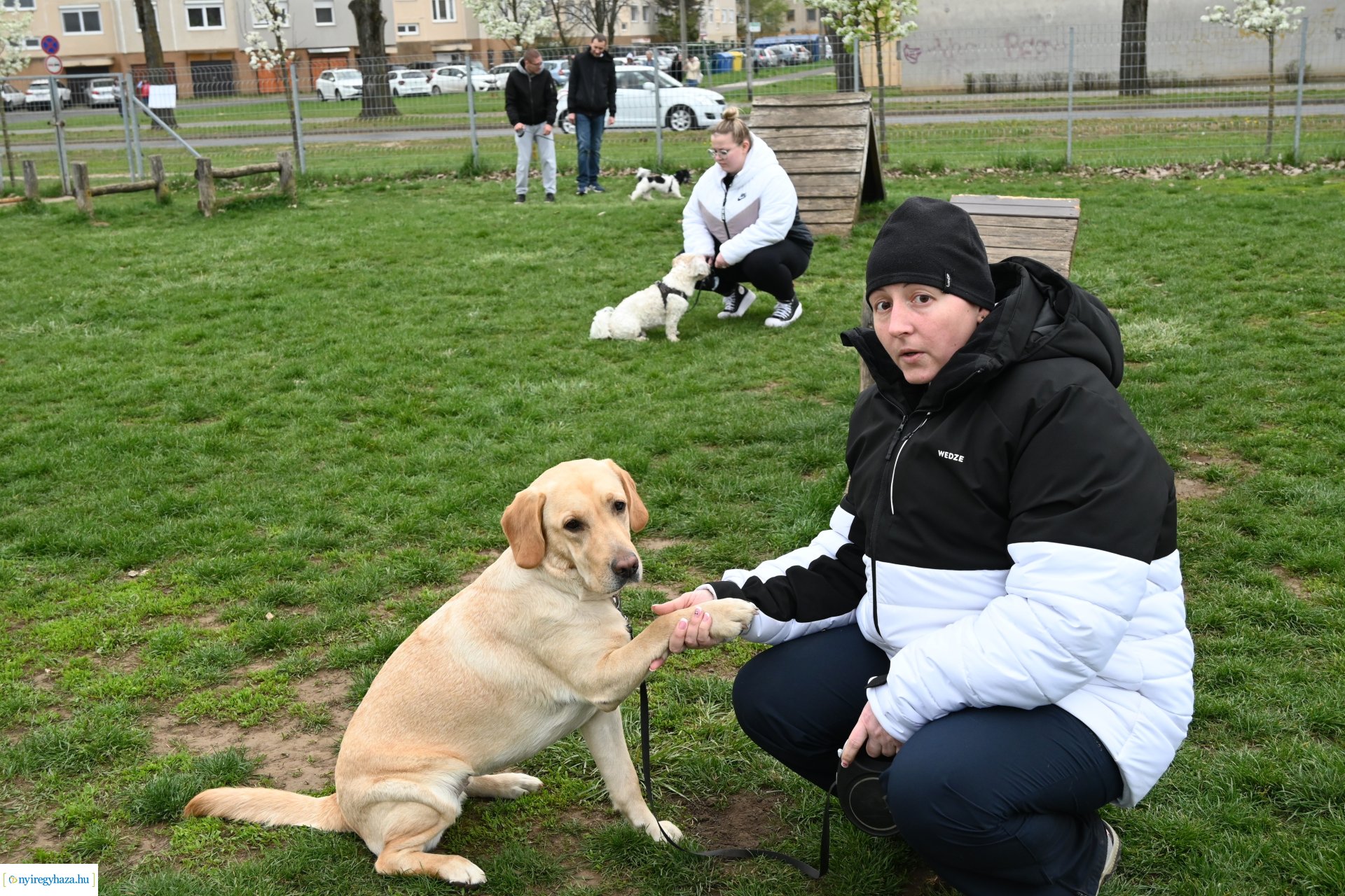 Kutyázz Nyíregyháza!