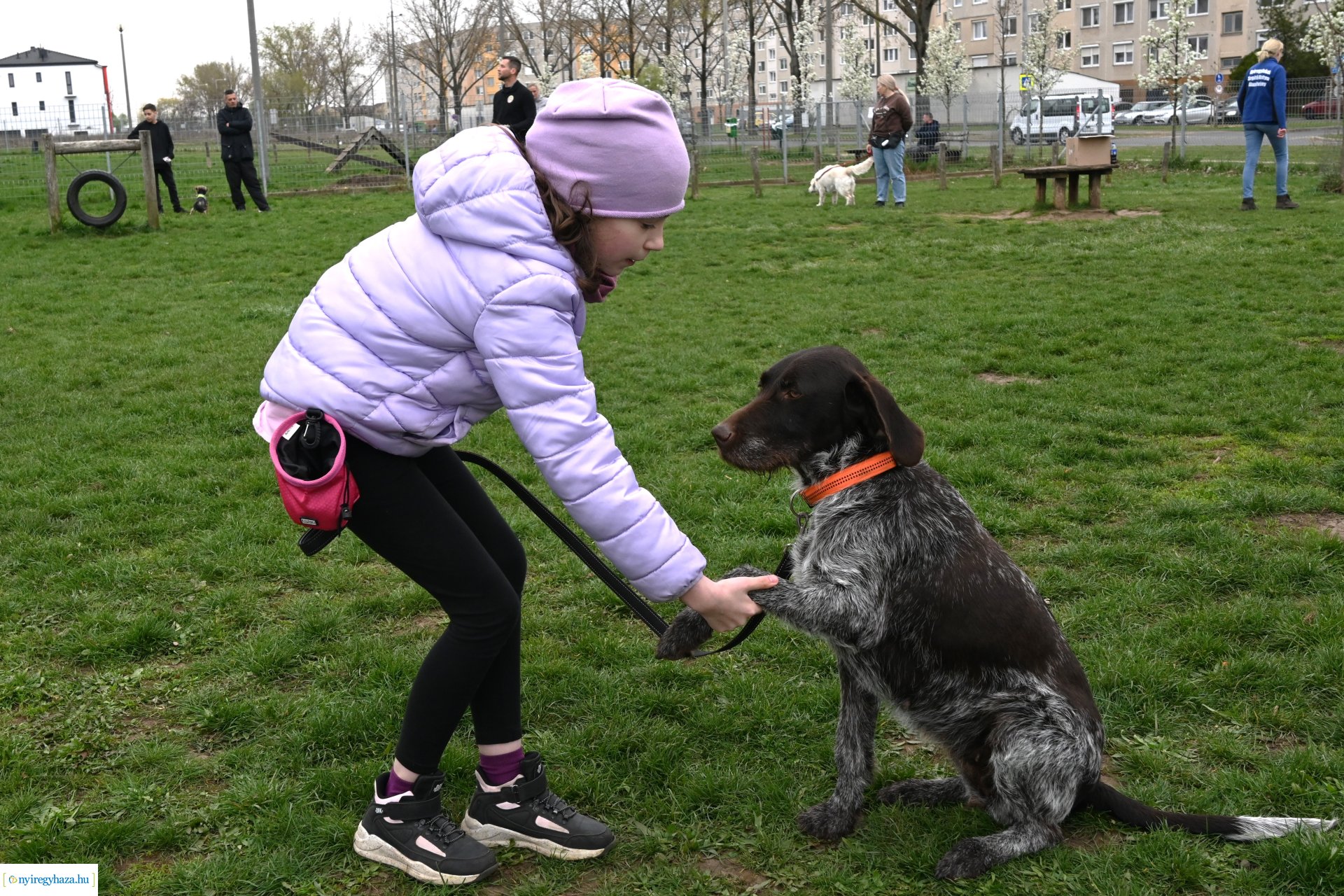 Kutyázz Nyíregyháza!