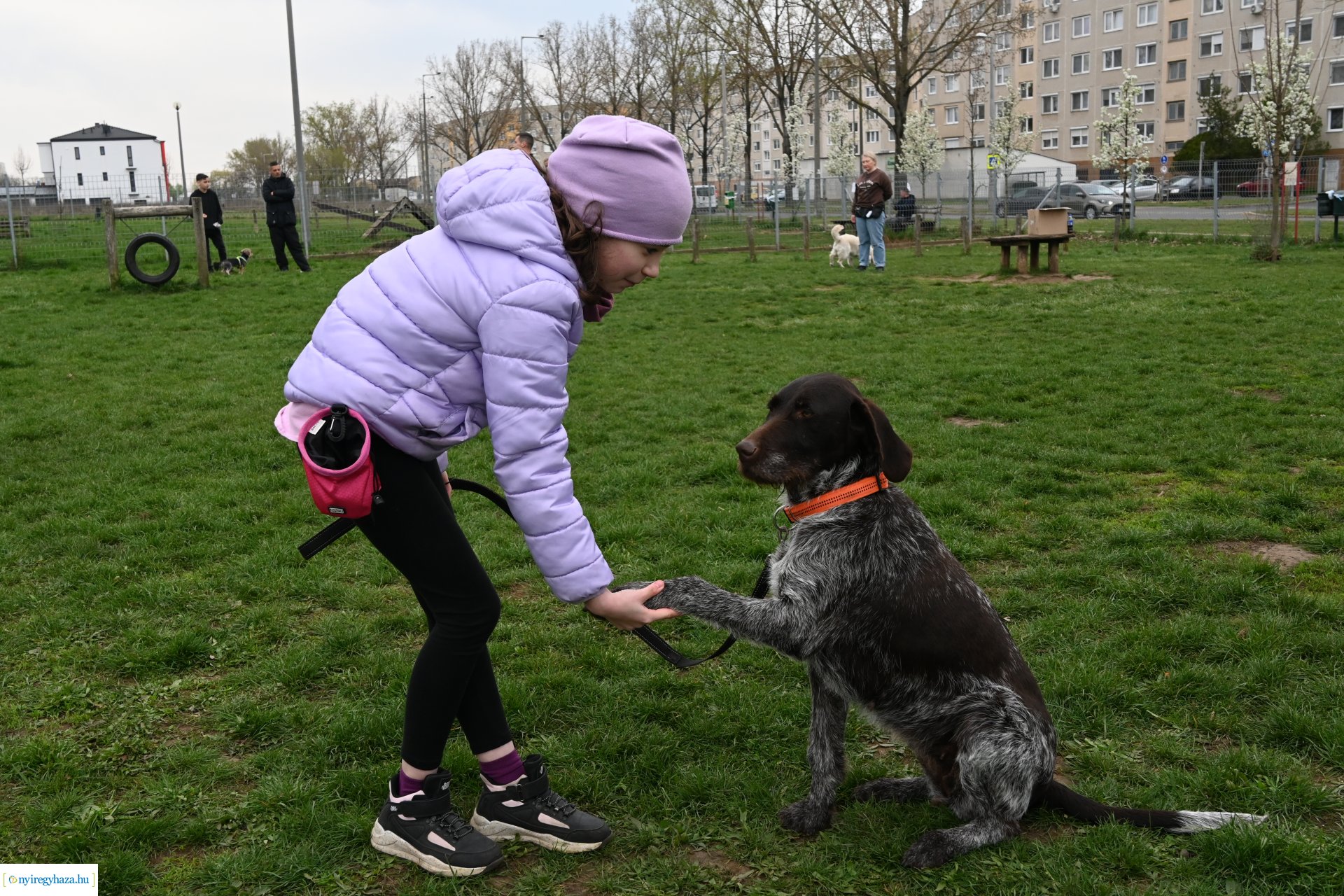 Kutyázz Nyíregyháza!