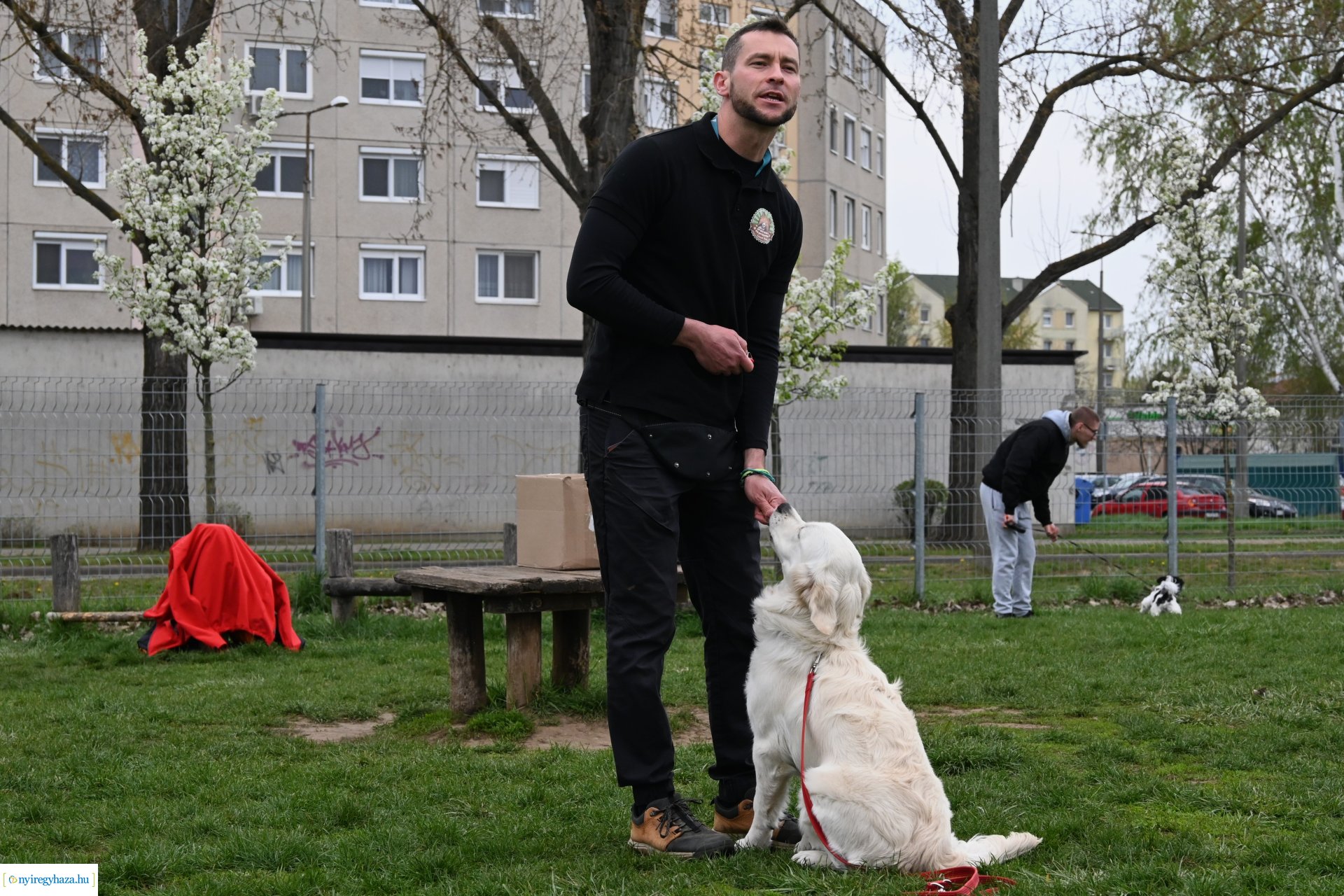 Kutyázz Nyíregyháza!