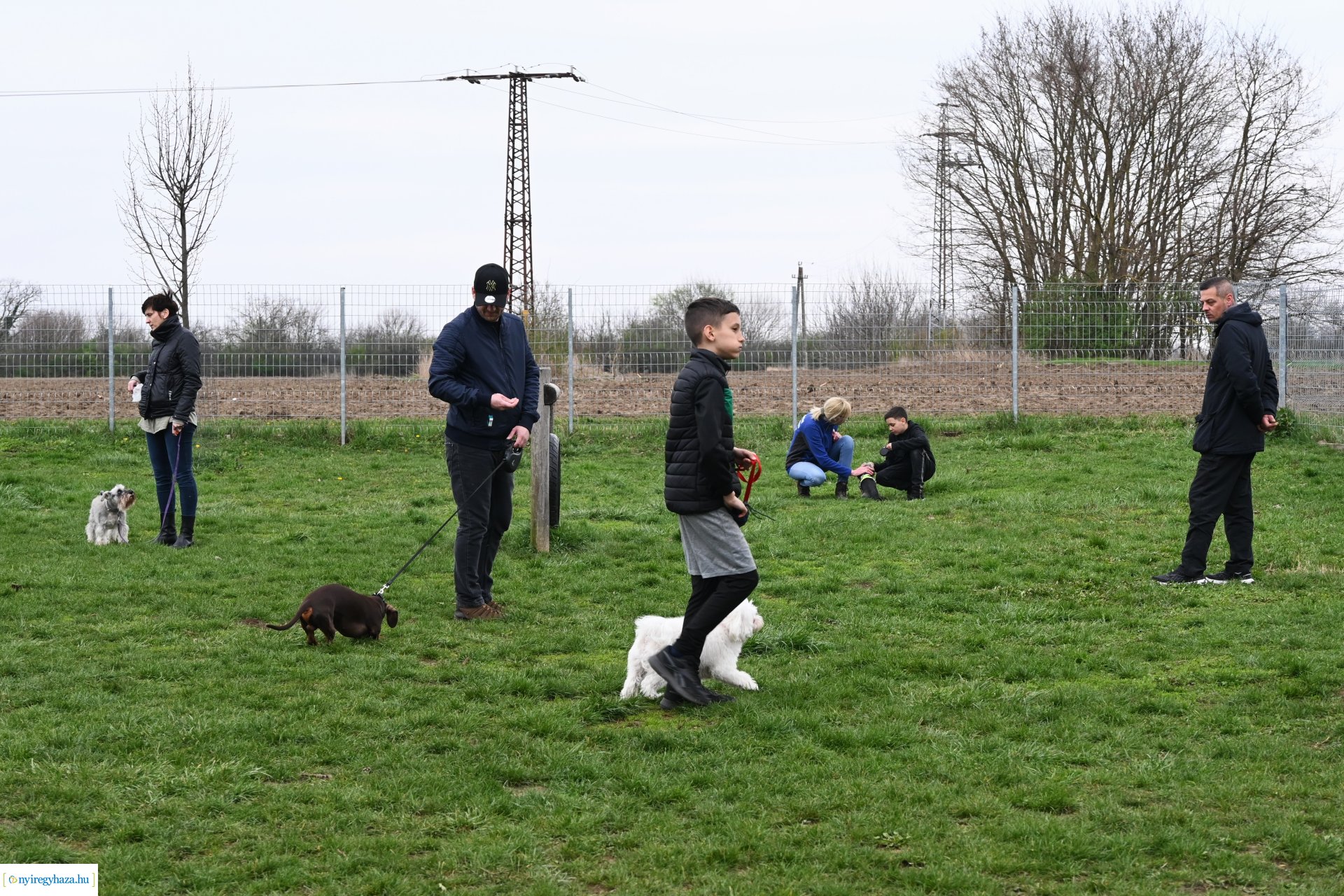 Kutyázz Nyíregyháza!