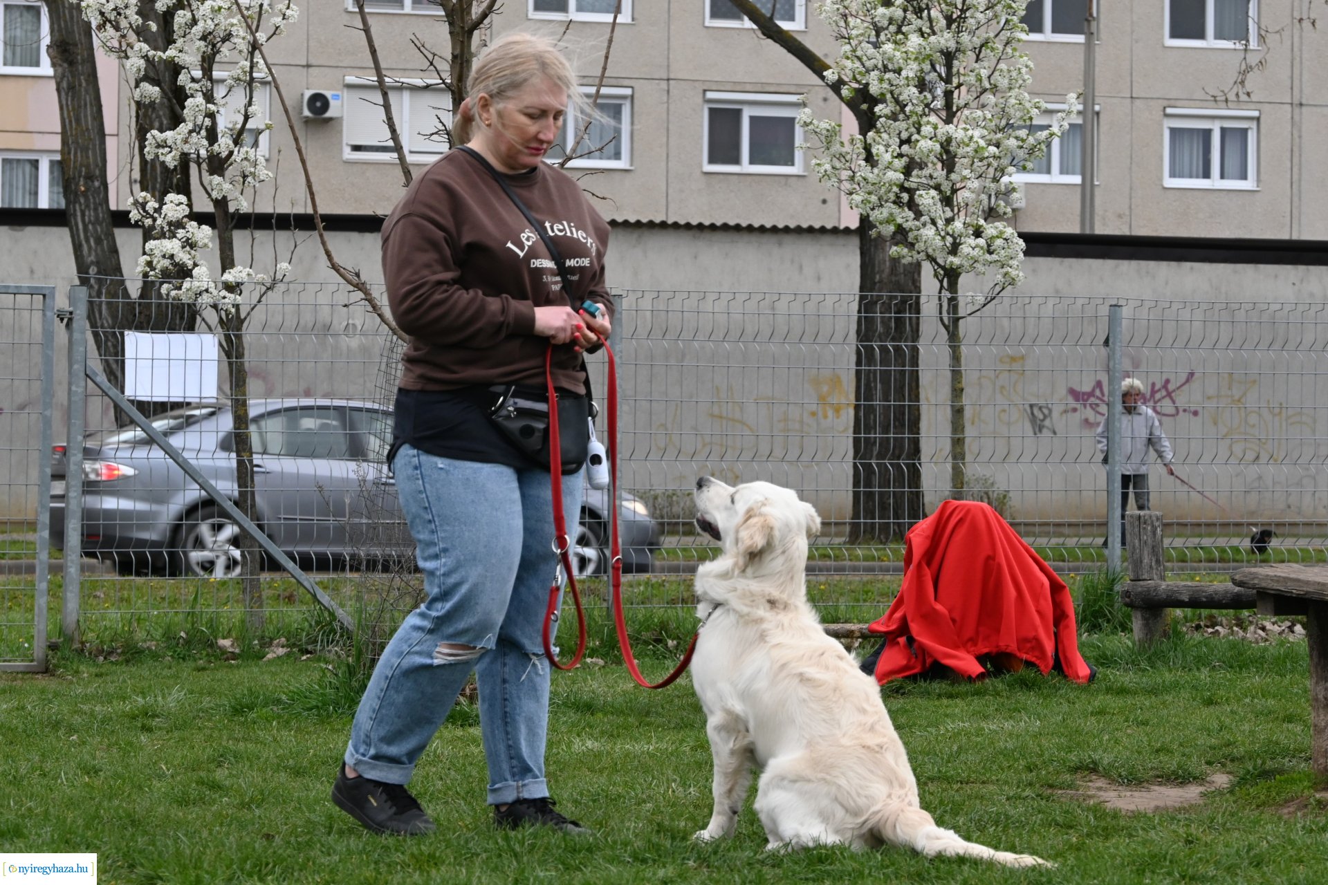 Kutyázz Nyíregyháza!
