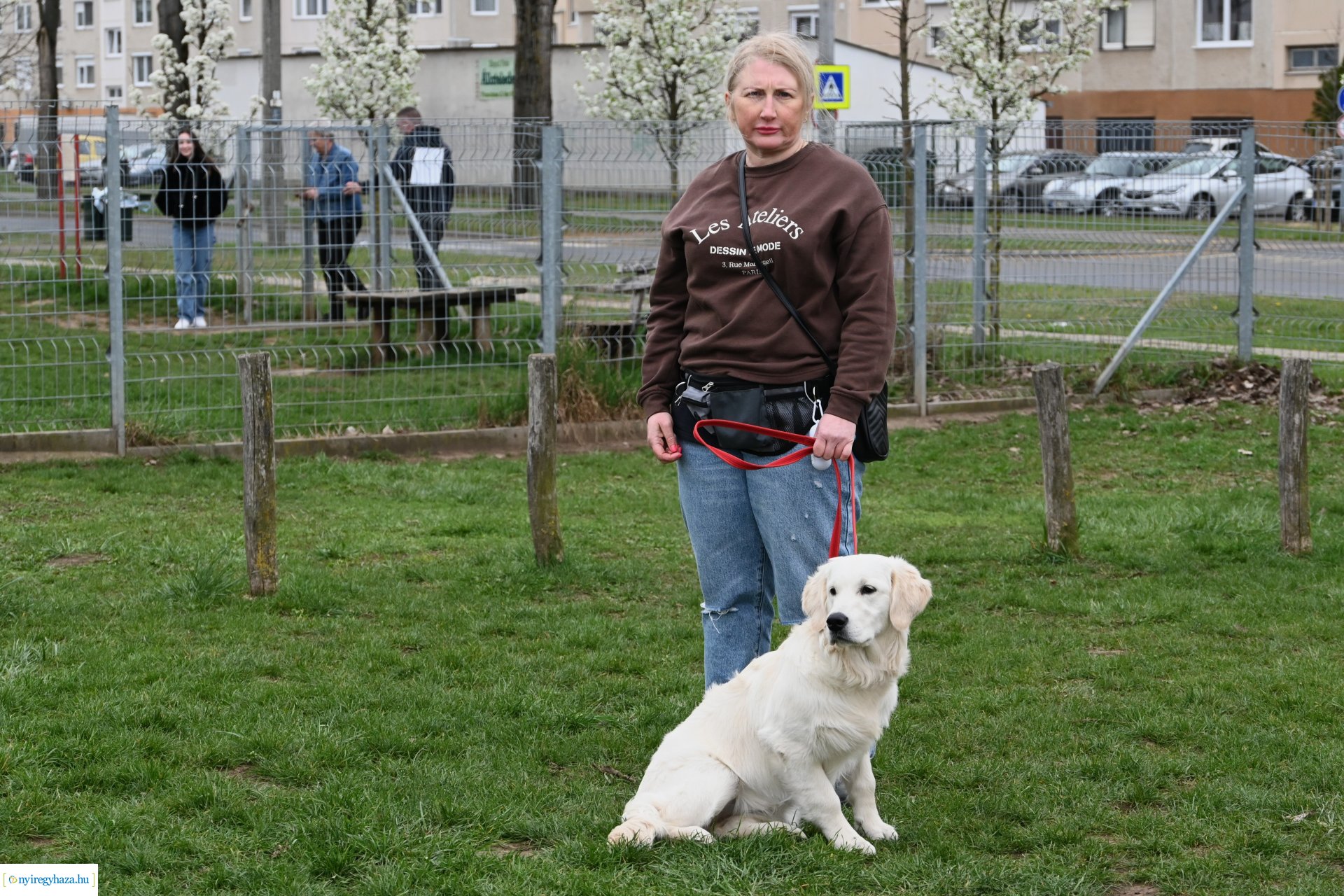 Kutyázz Nyíregyháza!