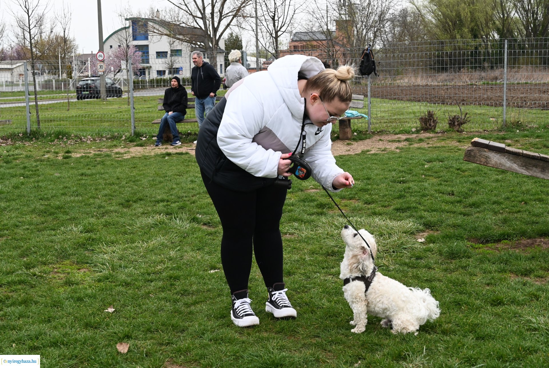 Kutyázz Nyíregyháza!