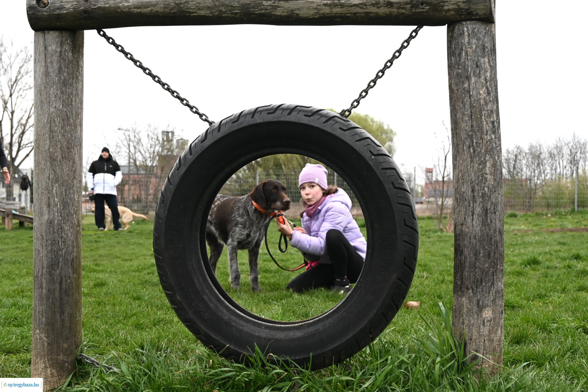 Kutyázz Nyíregyháza!