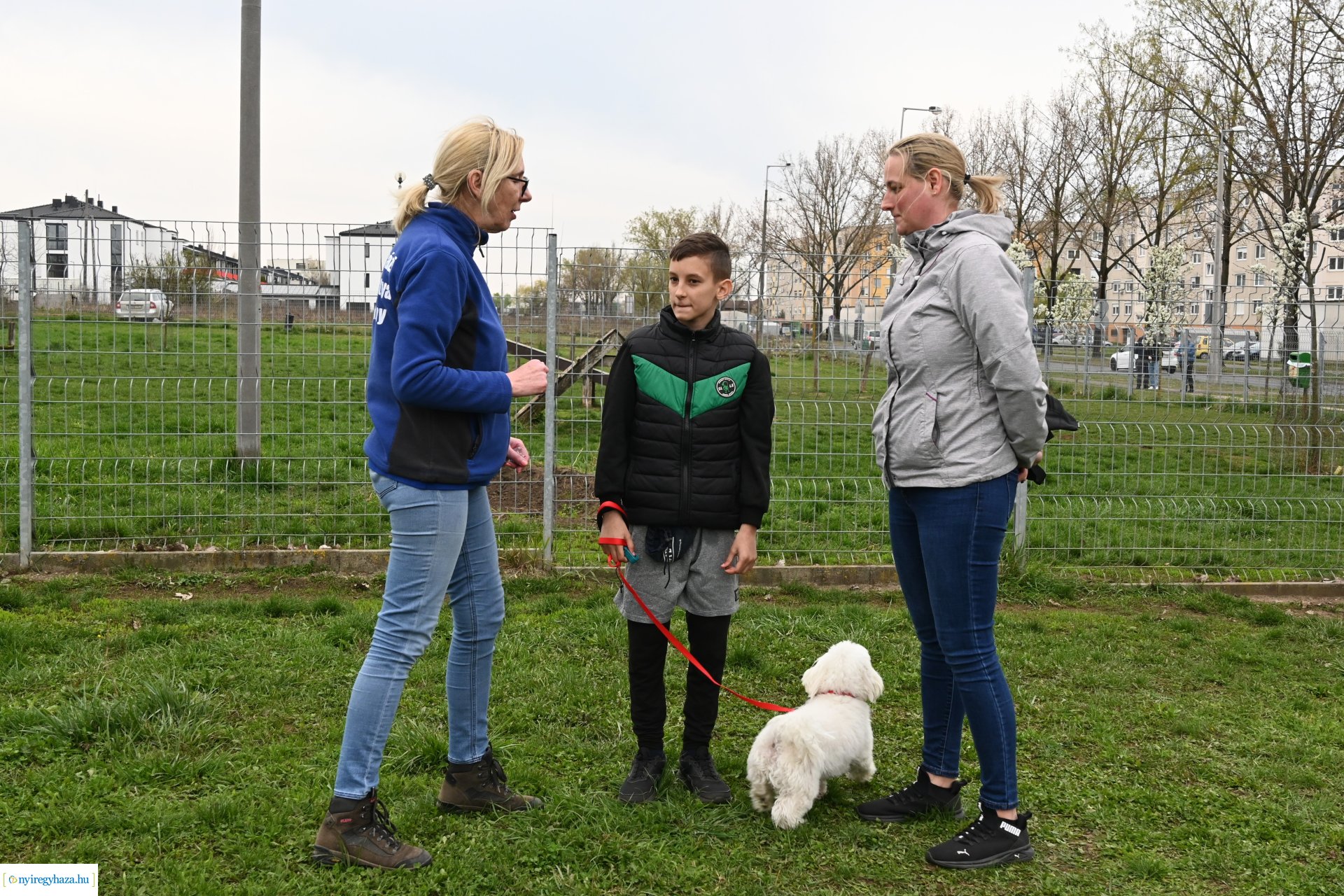 Kutyázz Nyíregyháza!