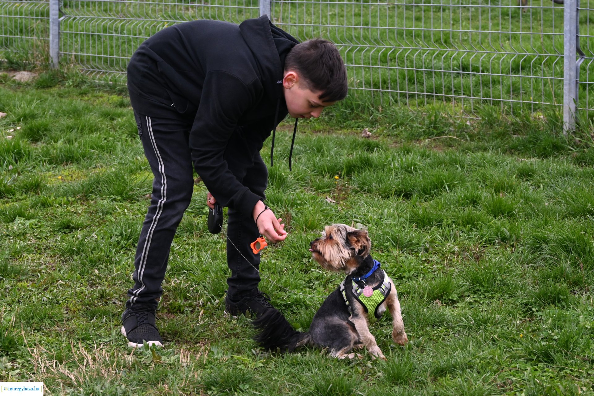 Kutyázz Nyíregyháza!