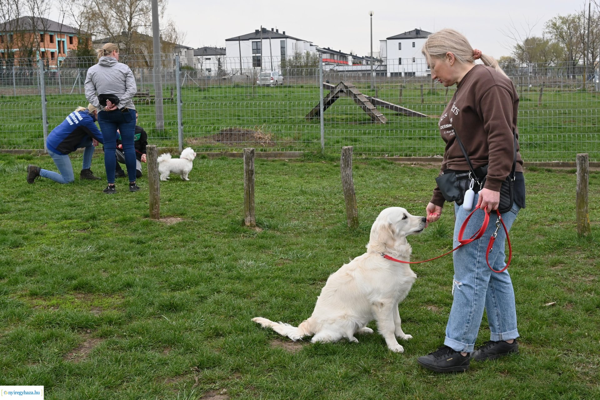 Kutyázz Nyíregyháza!