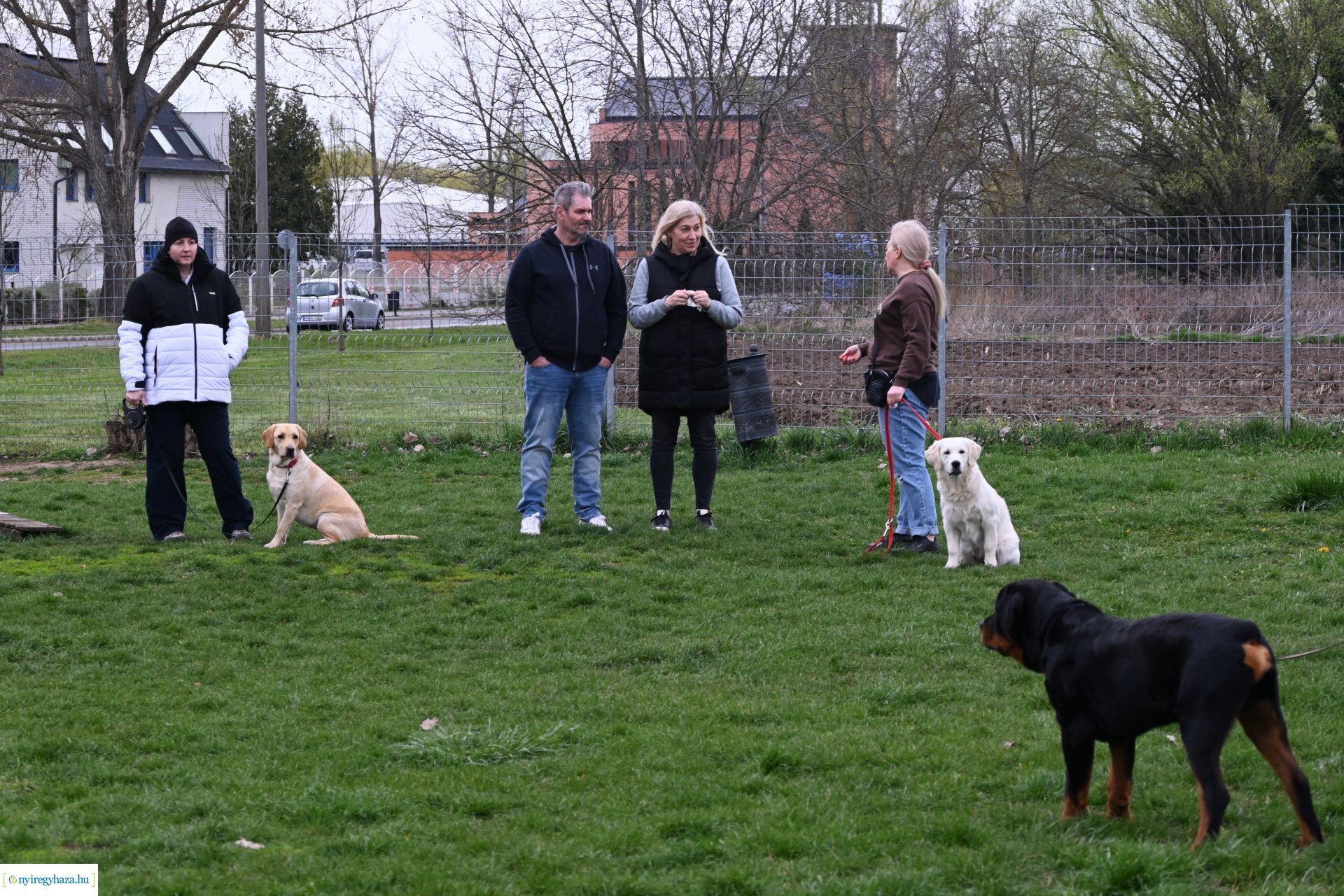 Kutyázz Nyíregyháza!