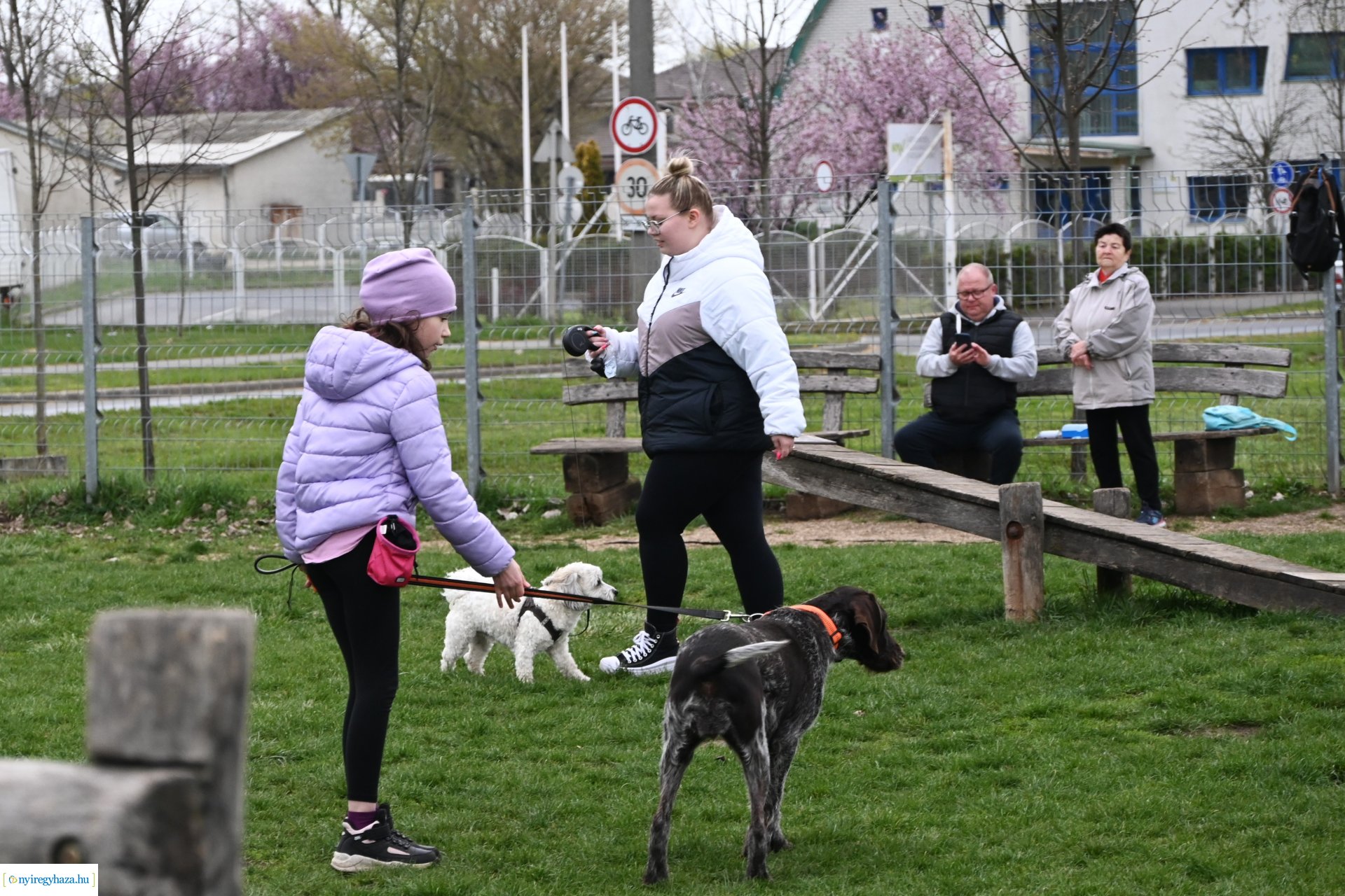 Kutyázz Nyíregyháza!