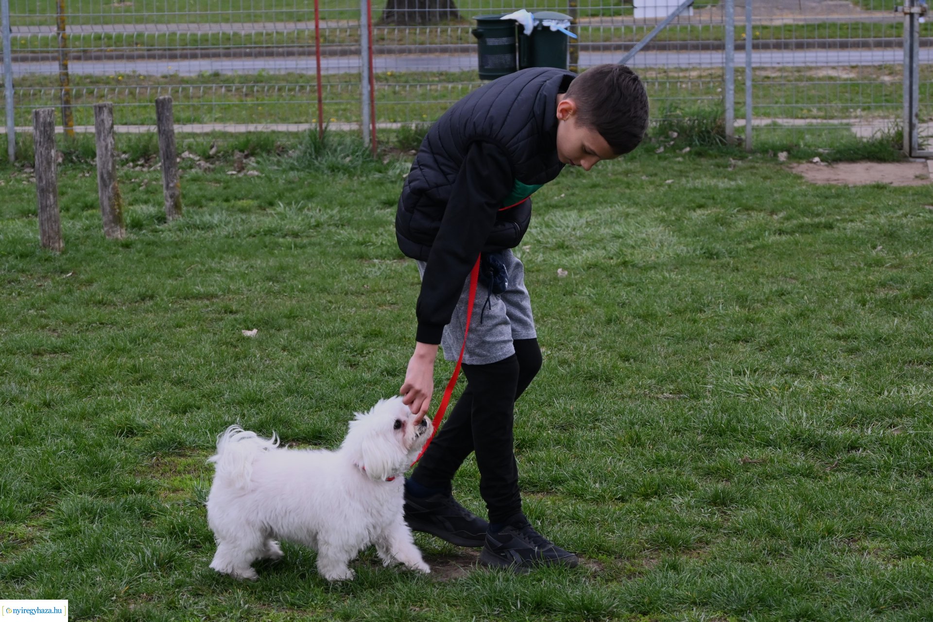 Kutyázz Nyíregyháza!