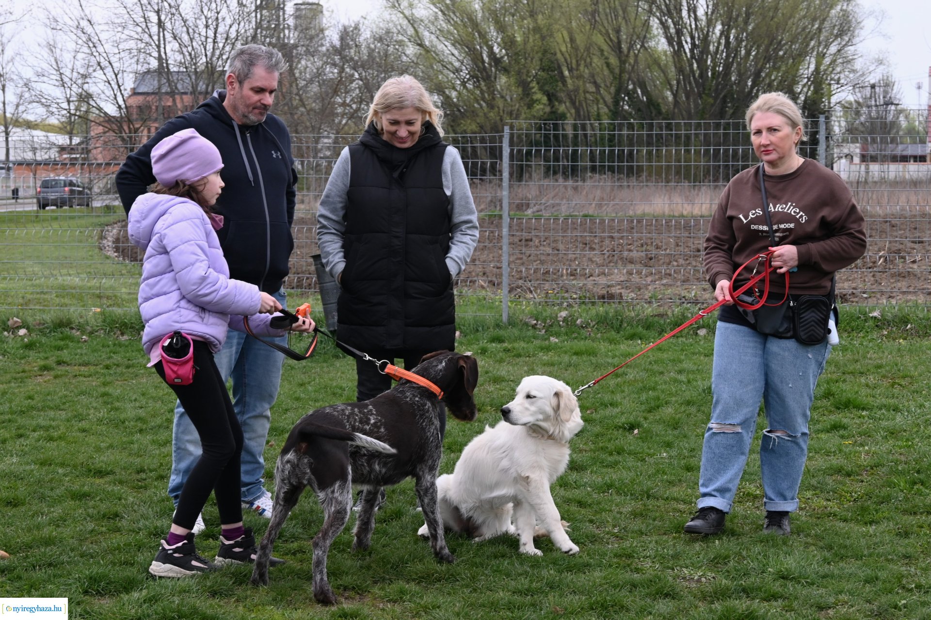 Kutyázz Nyíregyháza!