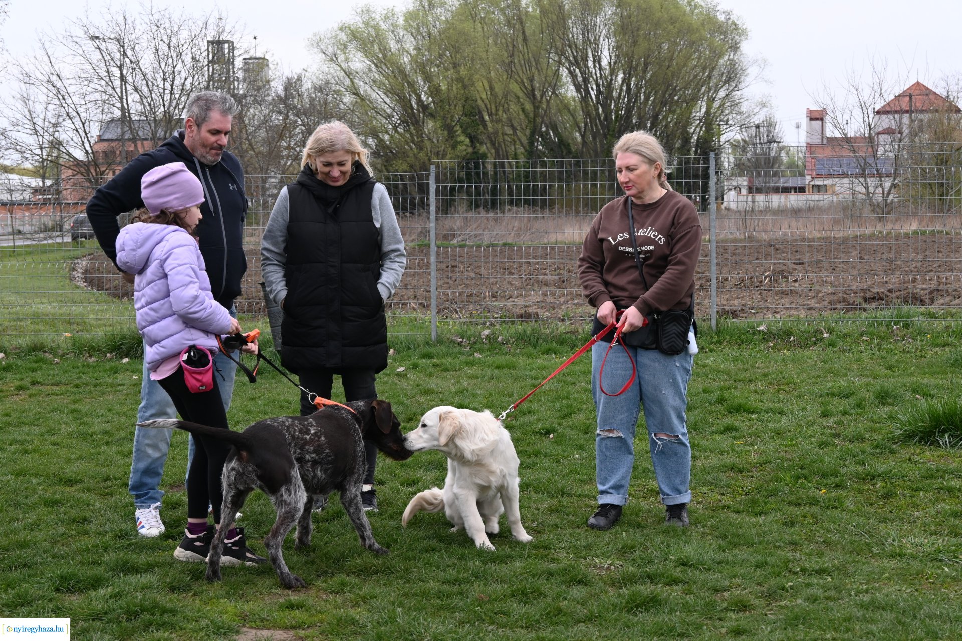 Kutyázz Nyíregyháza!