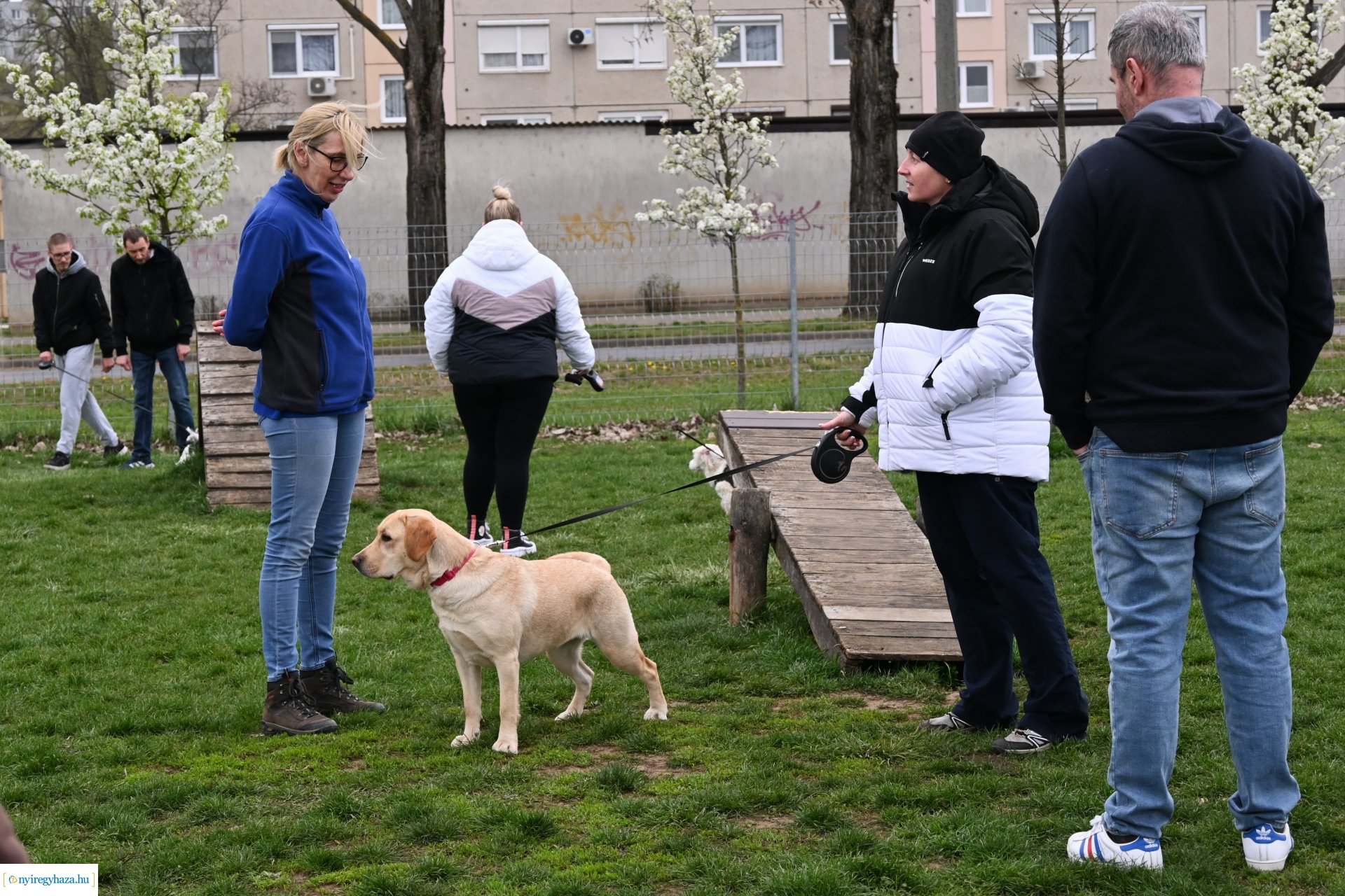 Kutyázz Nyíregyháza!