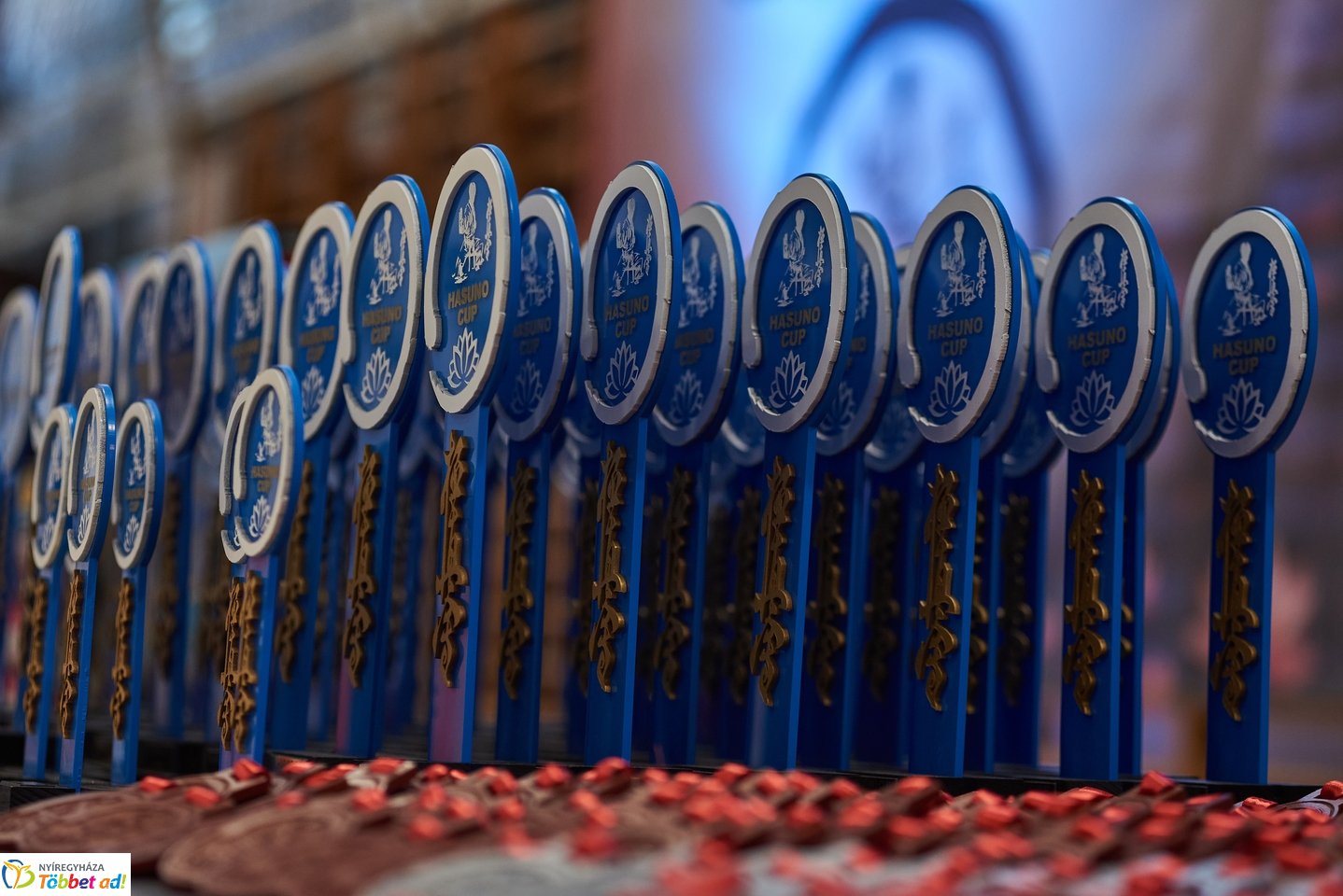 Kyokushin Budokai verseny a Bem iskolában 2026 áprilisában