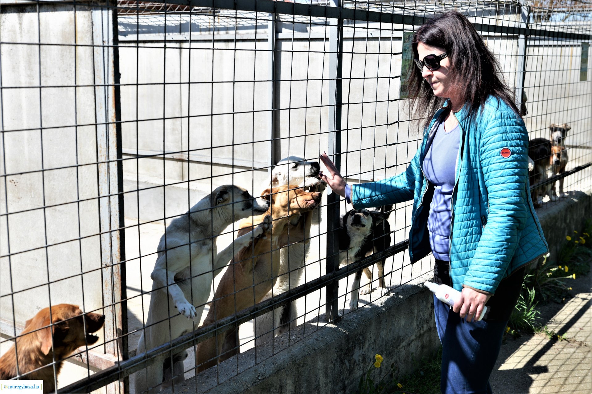 Látogatás az Állatbarát Alapítvány Állatotthonában