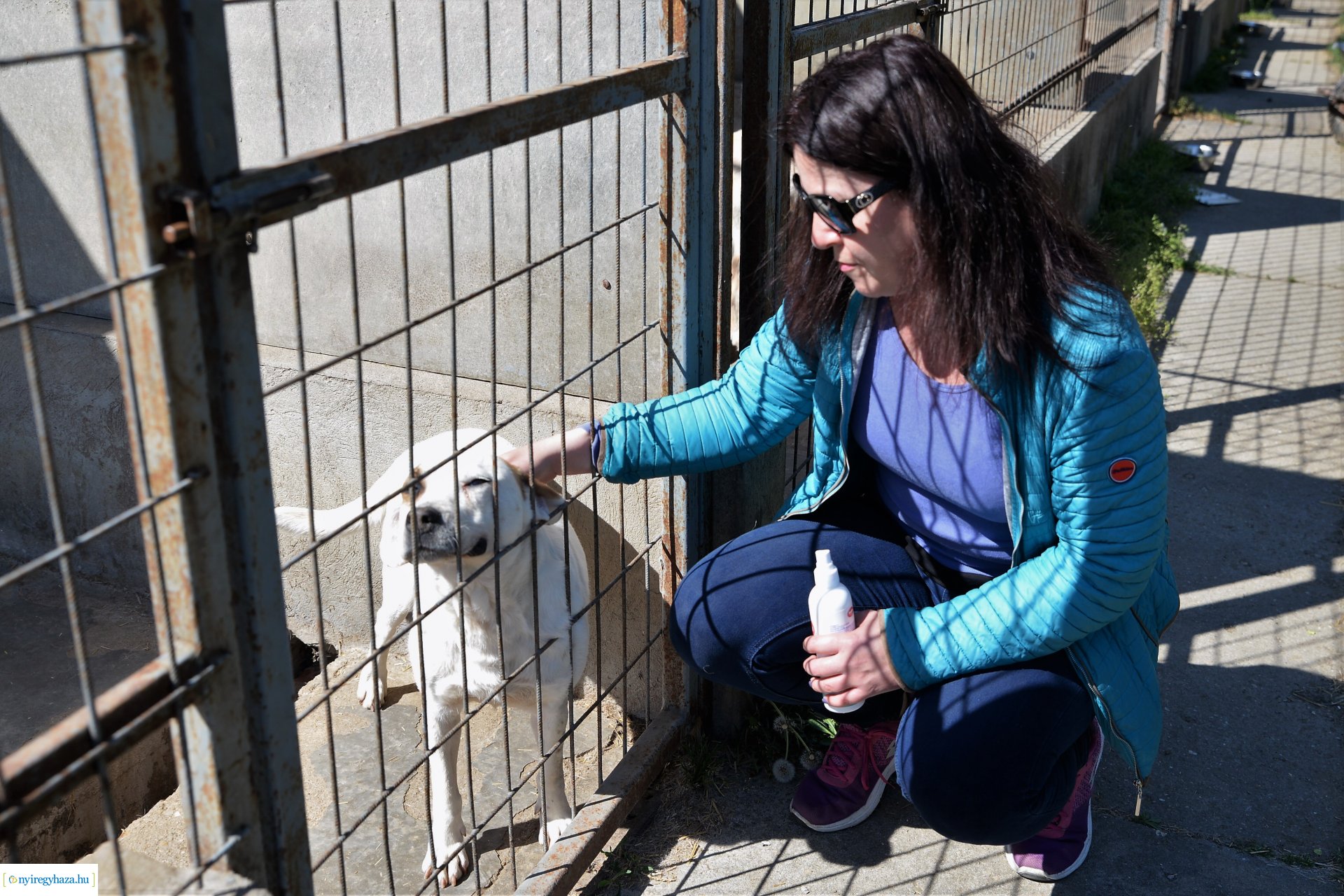 Látogatás az Állatbarát Alapítvány Állatotthonában